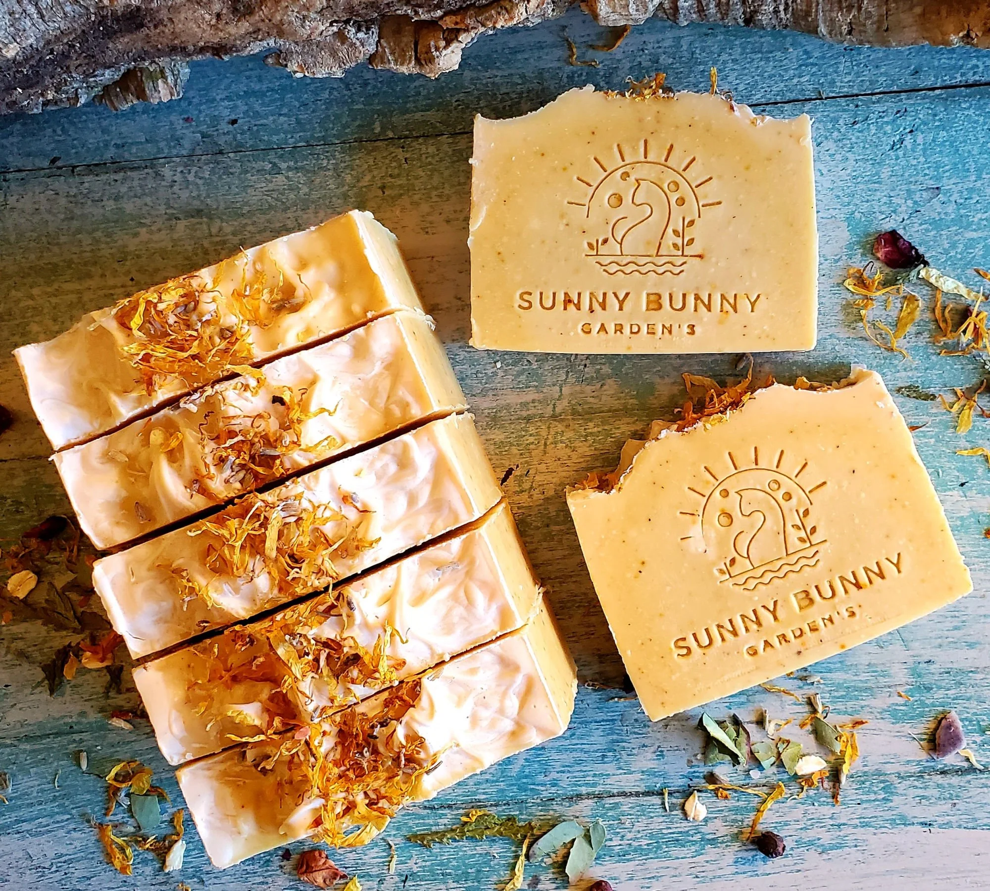 Citrus sunflower (2).jpg