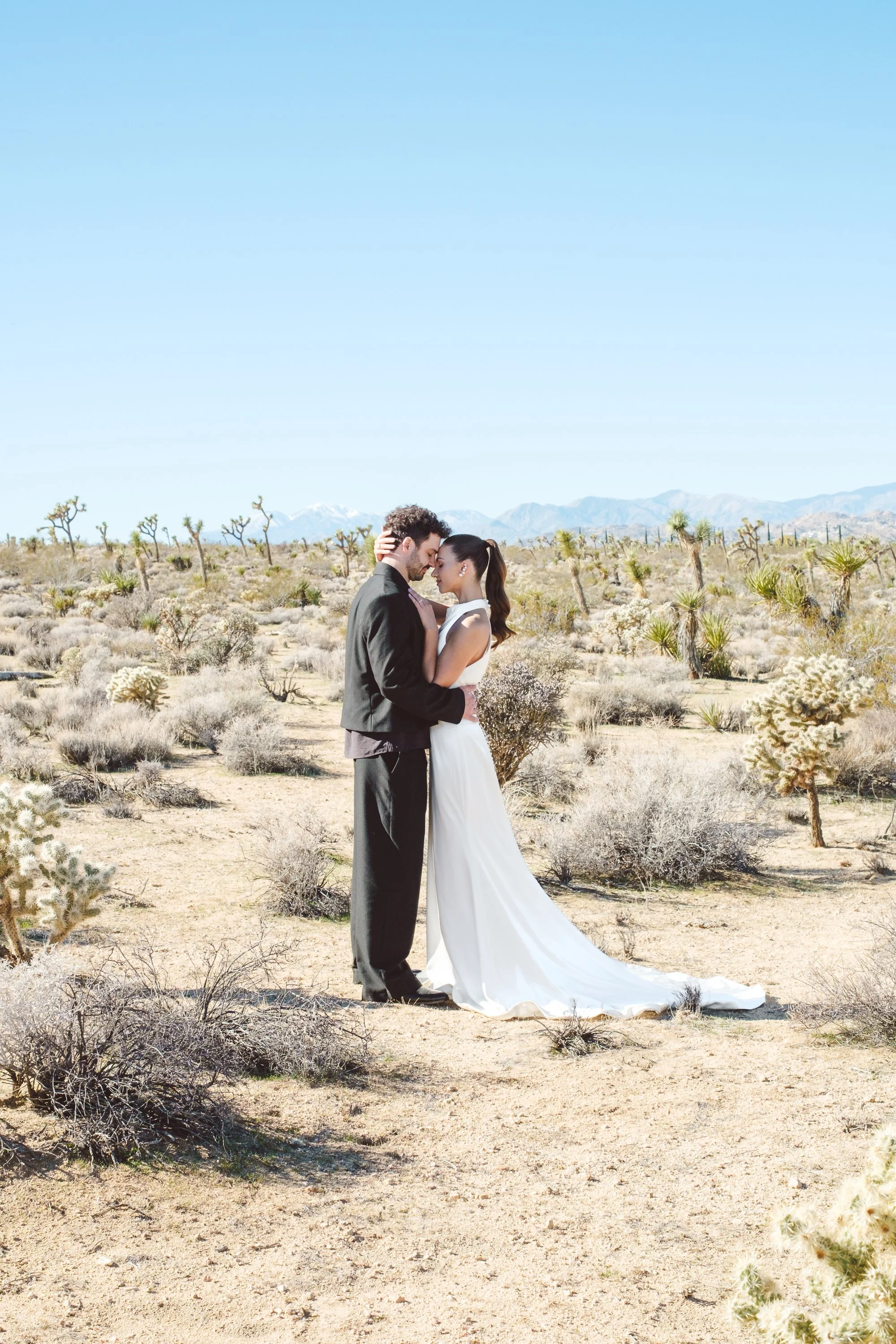 Wedding Styled Shoot-Joshua Tree-251207-sdbphotos-web-6.jpg