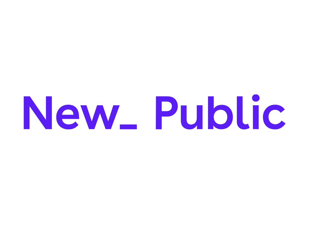 The image displays the text 'New_Public' in large purple font on a white background.