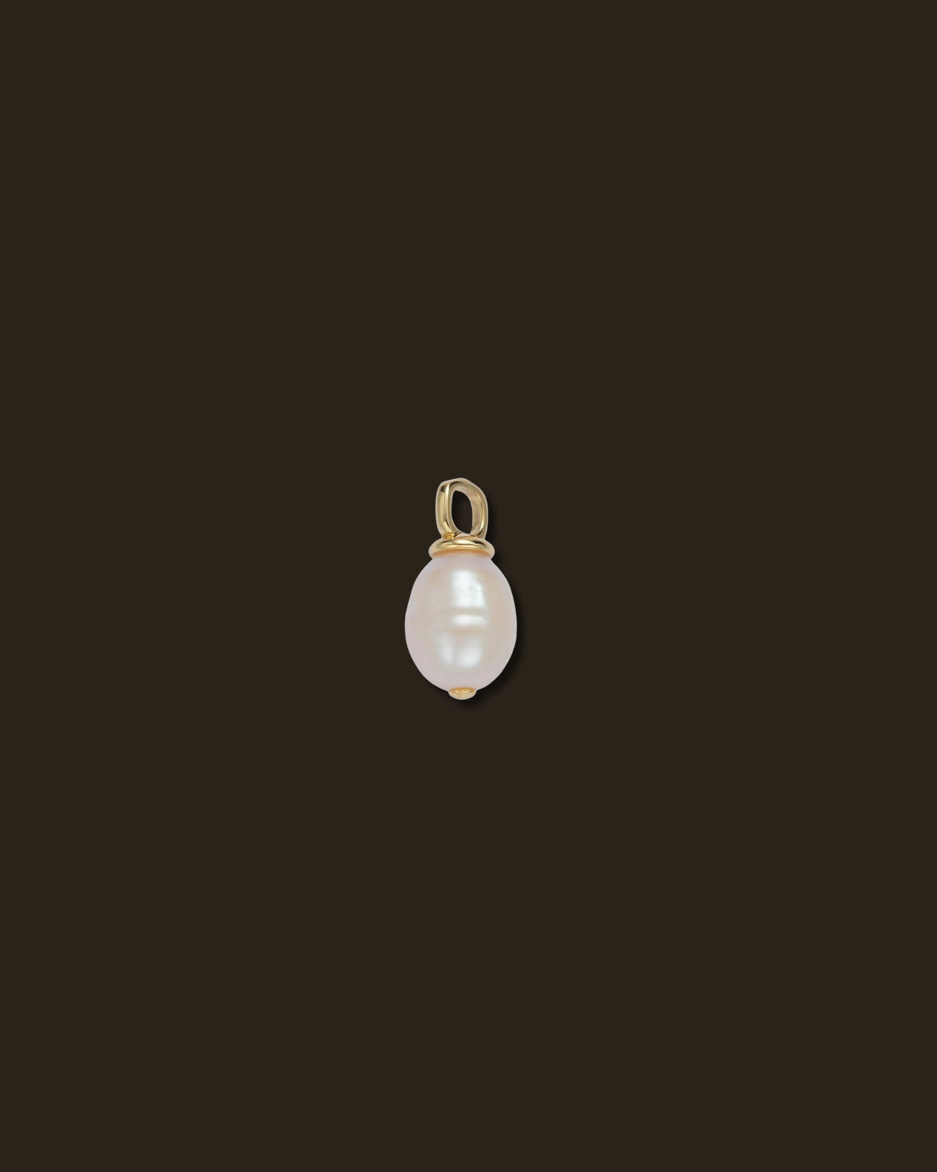 Charm Backdrop for Website-6.png