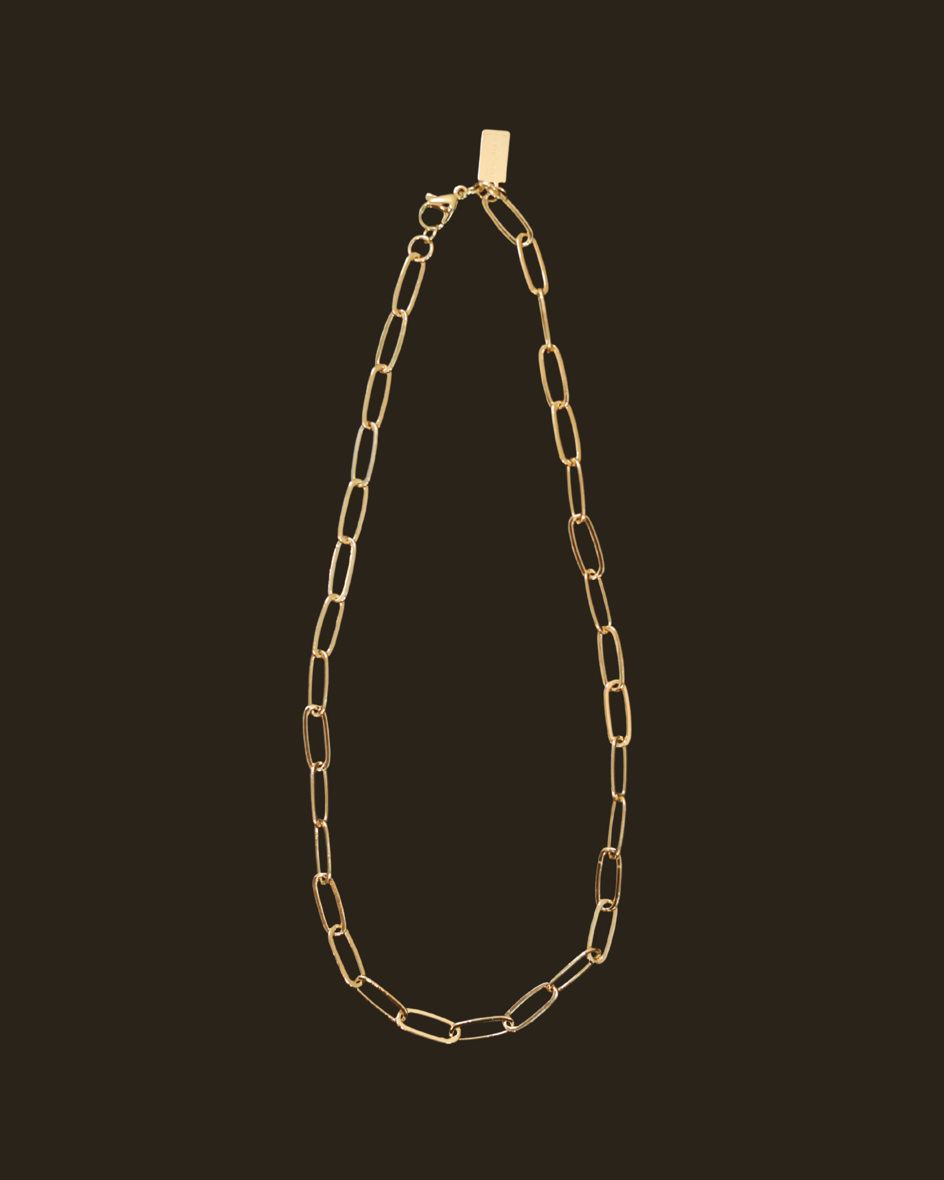 Copy of Charm Backdrop for Website-5.png