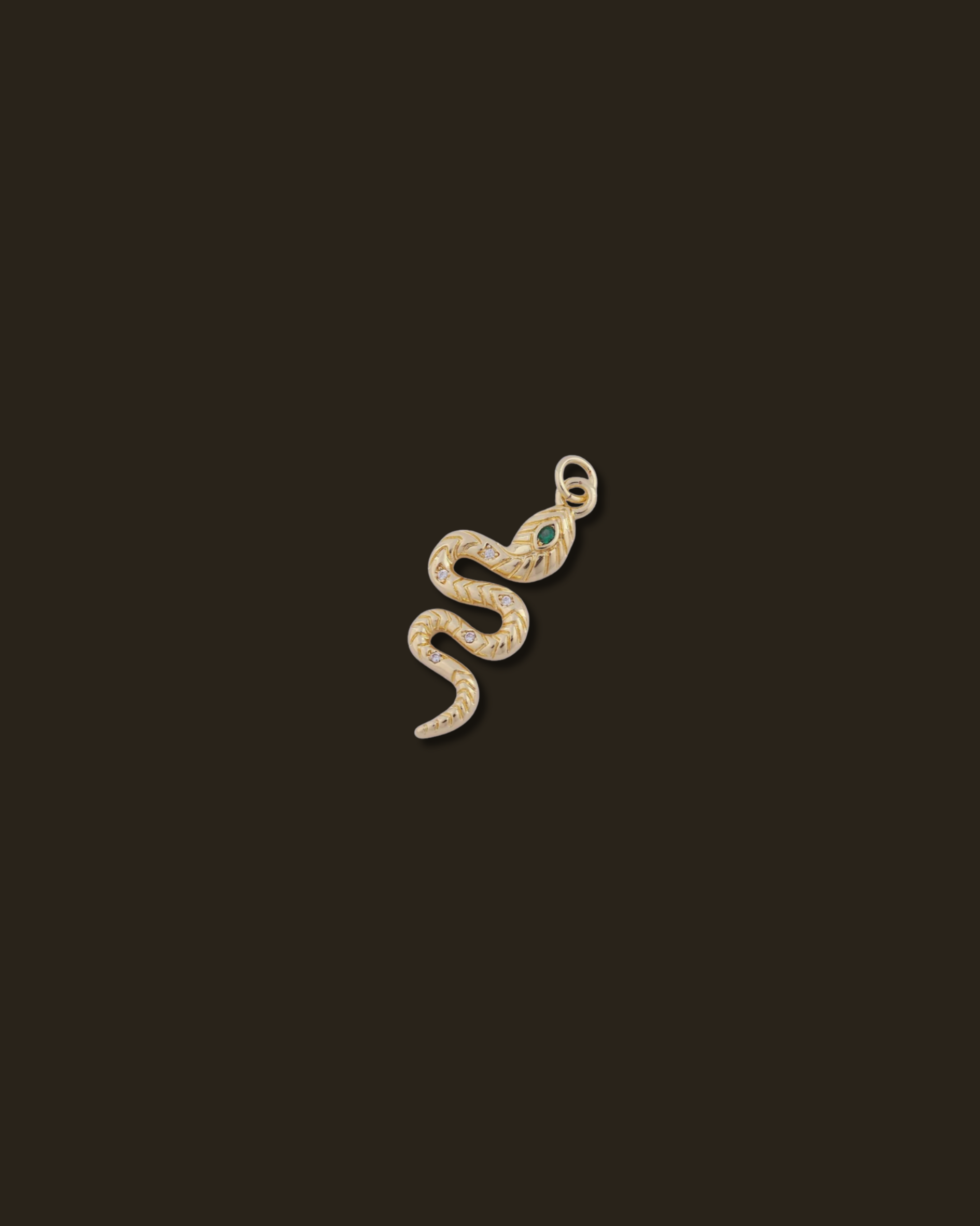 Charm Backdrop for Website.png