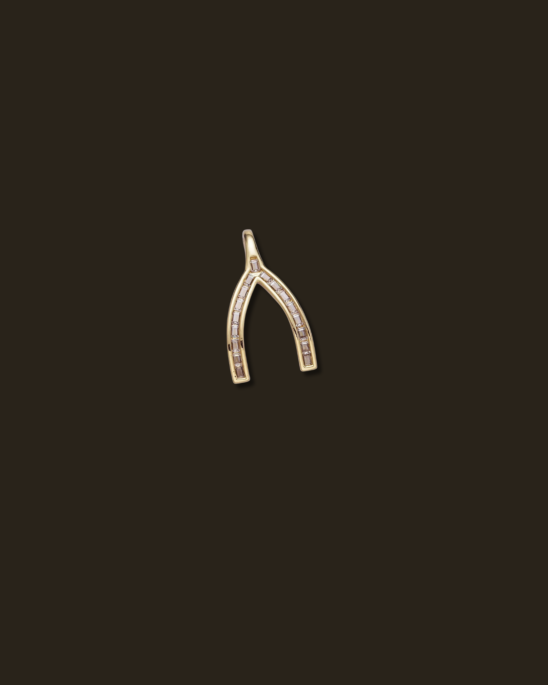 Charm Backdrop for Website.png