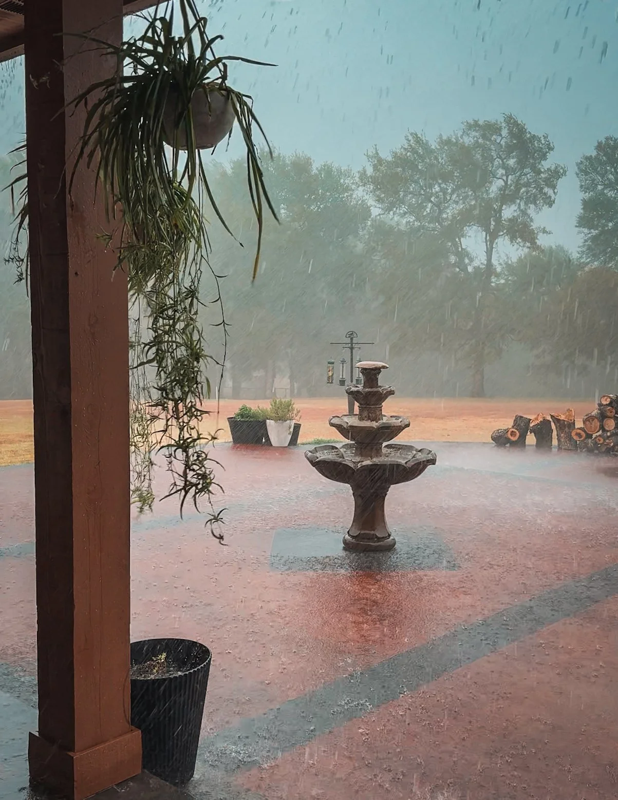 Life, Noticed: What a Rainstorm Taught Me About Rebuilding