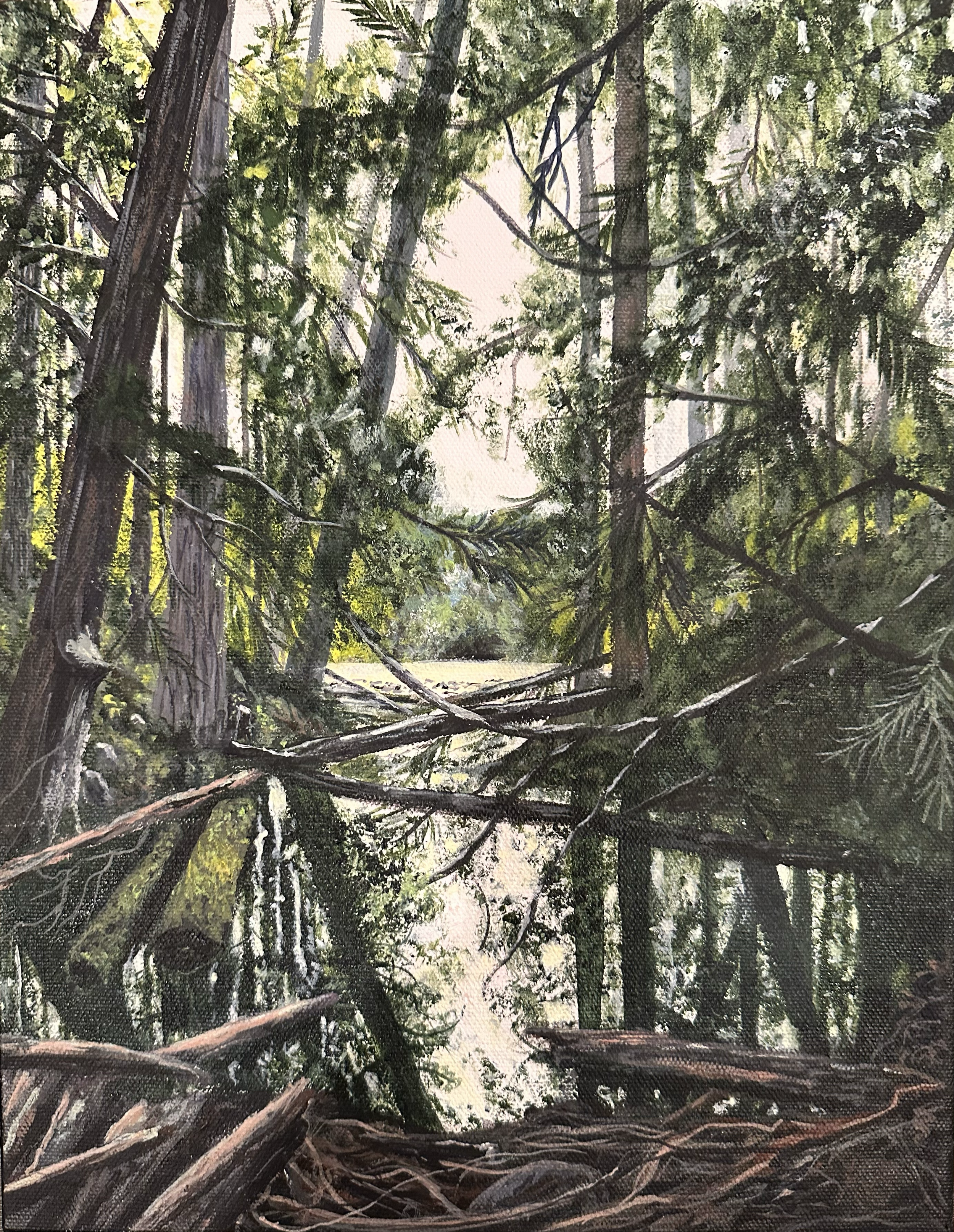 Roe Lake  Acrylic on Canvas. 14X11  $275