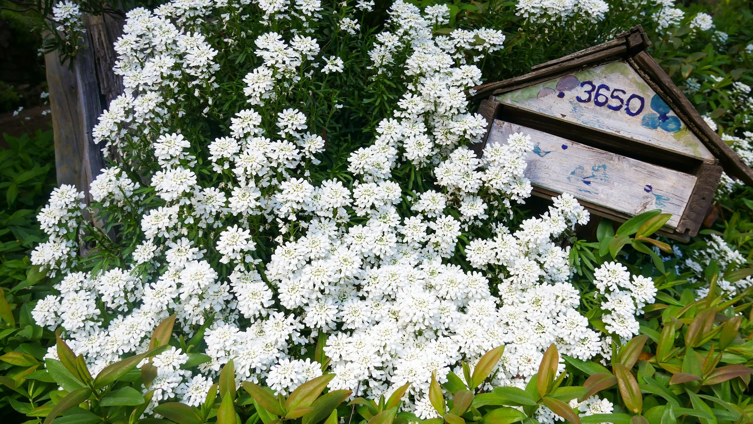 Postcrossing Cards: Outbound