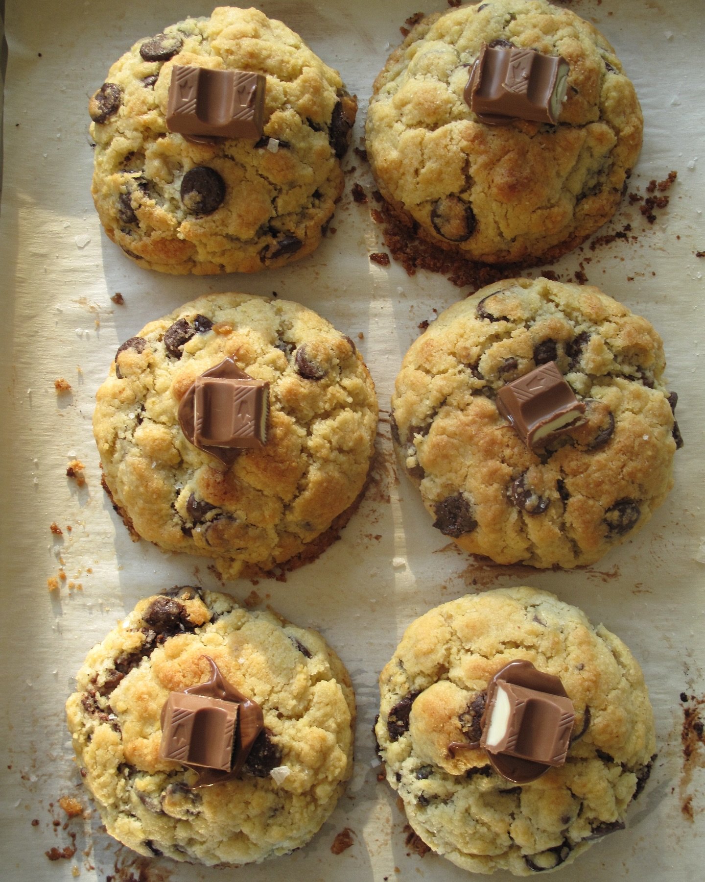 from the top 🥛🍪🍴🫖

cu&aacute;l es tu favorita? 
&bull;biscoff
&bull;nutella
&bull;chocolate chips

pide tua cookies por mensaje &lt;3

#douwcookies #douw #nycstylecookies #cookies #galletasestilonewyork #chunkycookies #postre