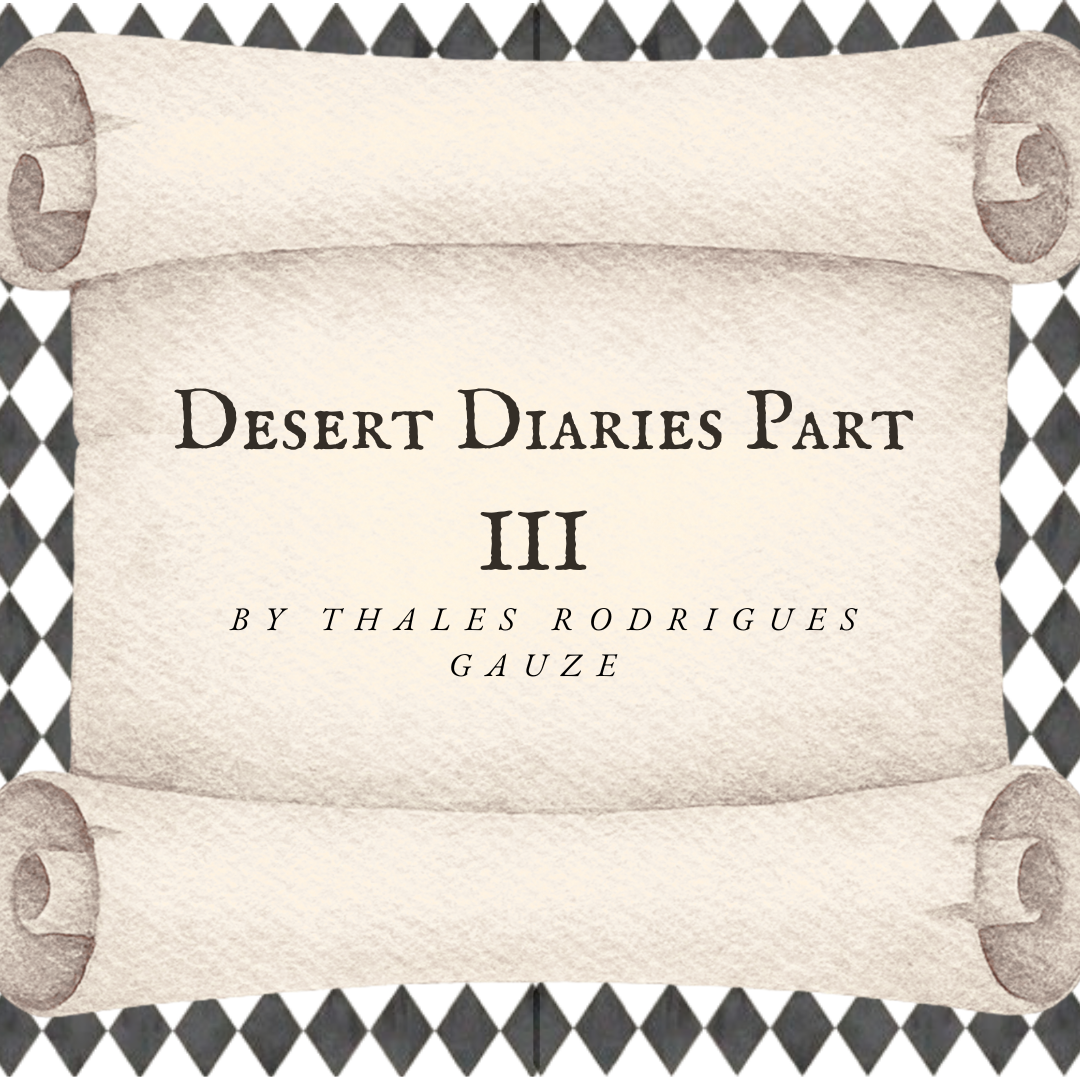 Desert Diaries Part III