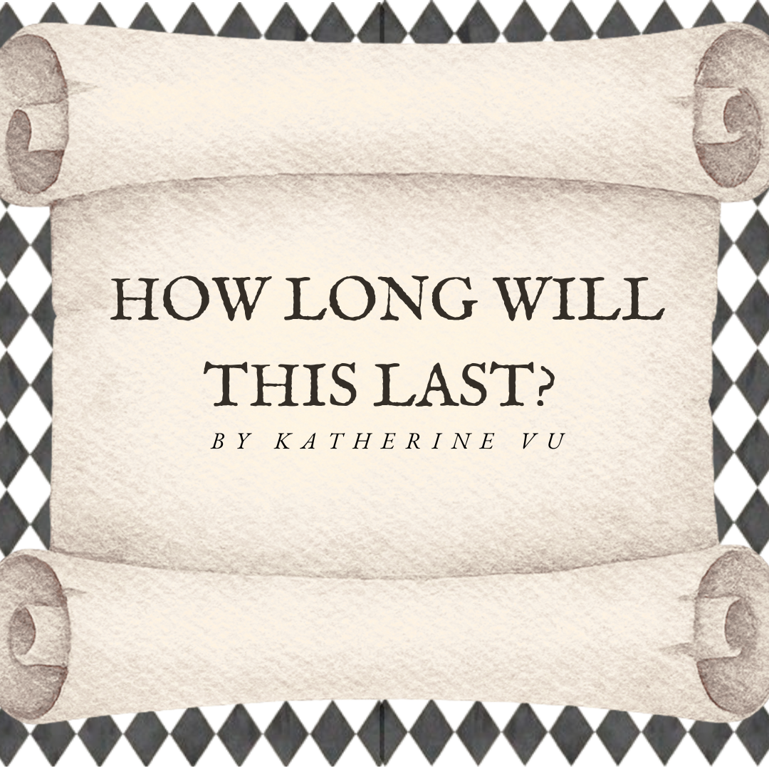 HOW LONG WILL THIS LAST?