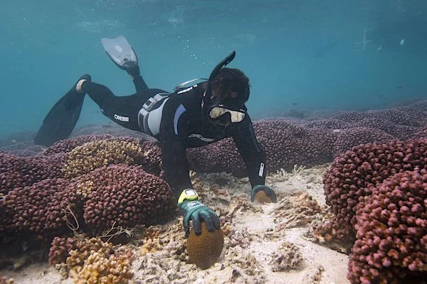 Australian Geographic Features Tidal Moon