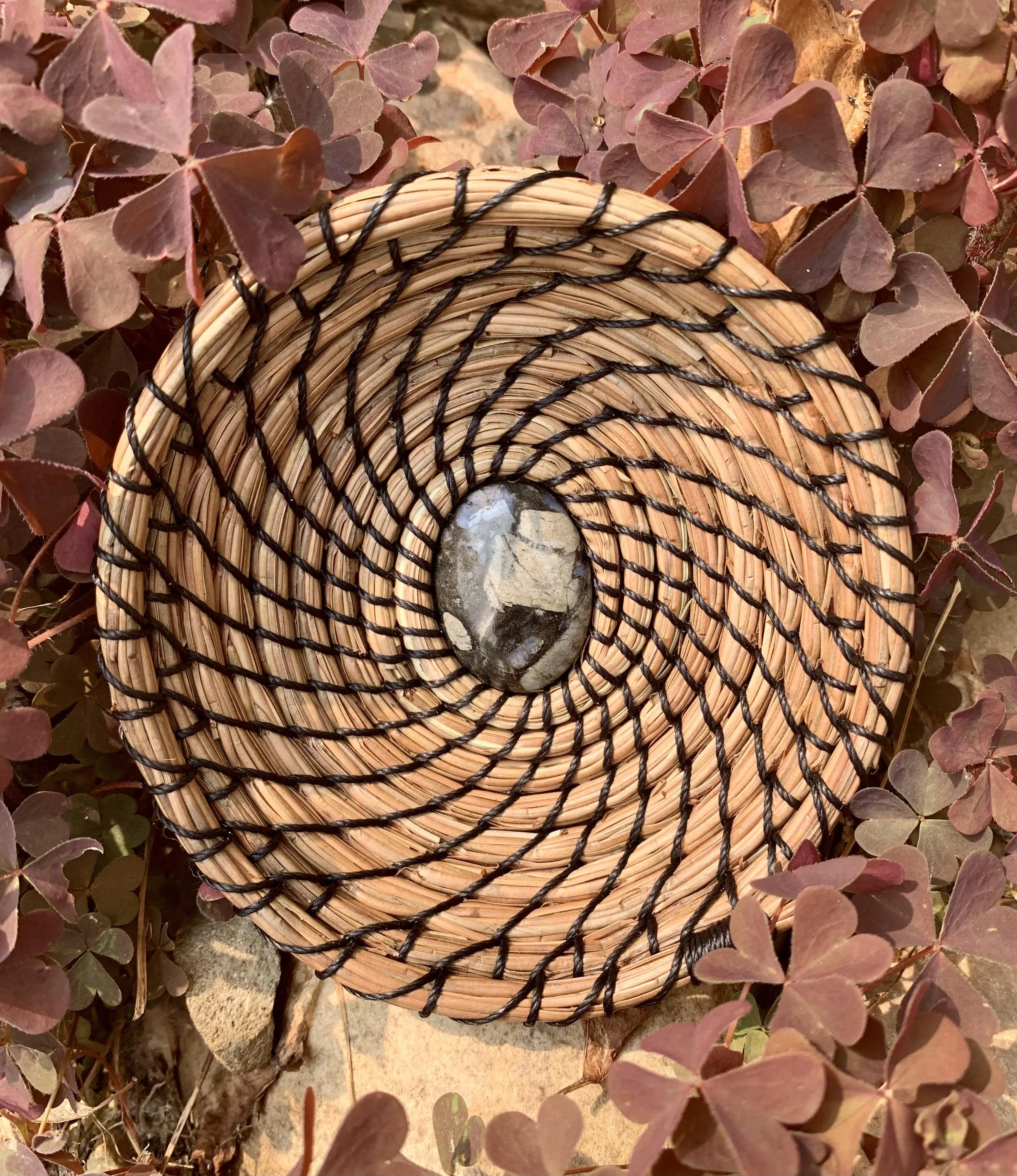 TK Studio Pine Needle Workshop.jpg