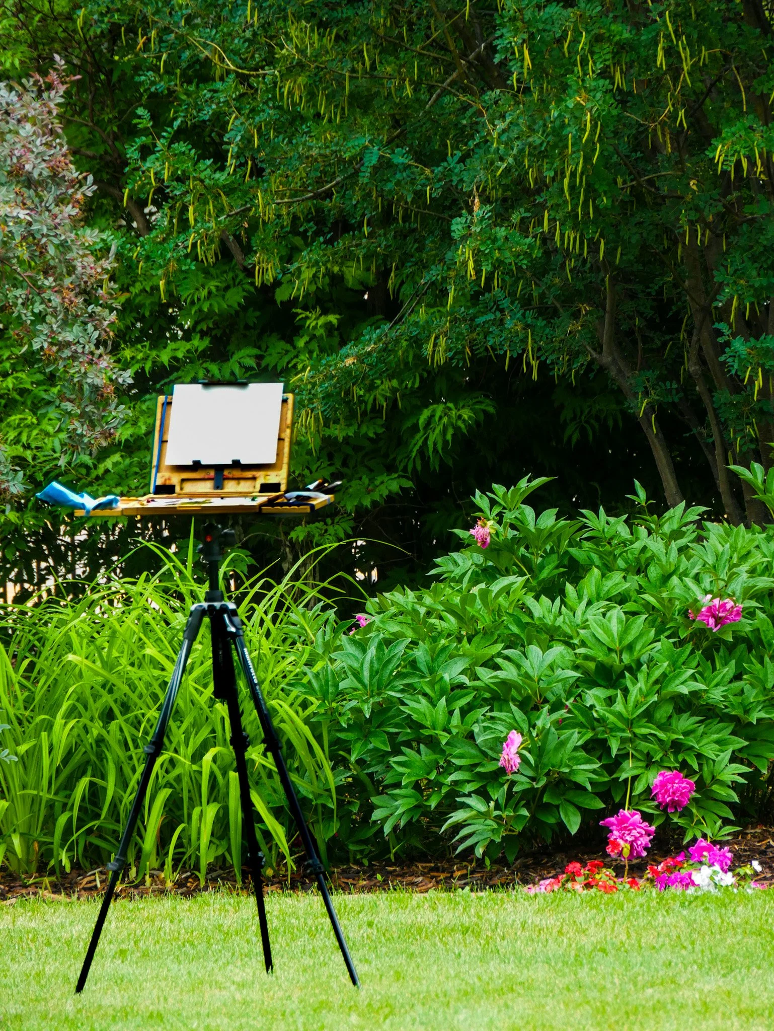 Plein Air Painting Setup.jpg