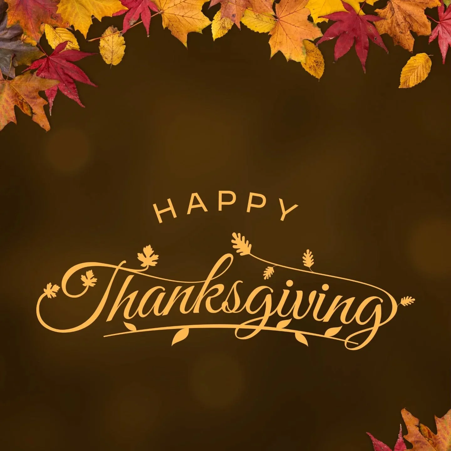 We are so thankful for all of you! We hope you all have a wonderful day no matter how you choose to spend it 🍁