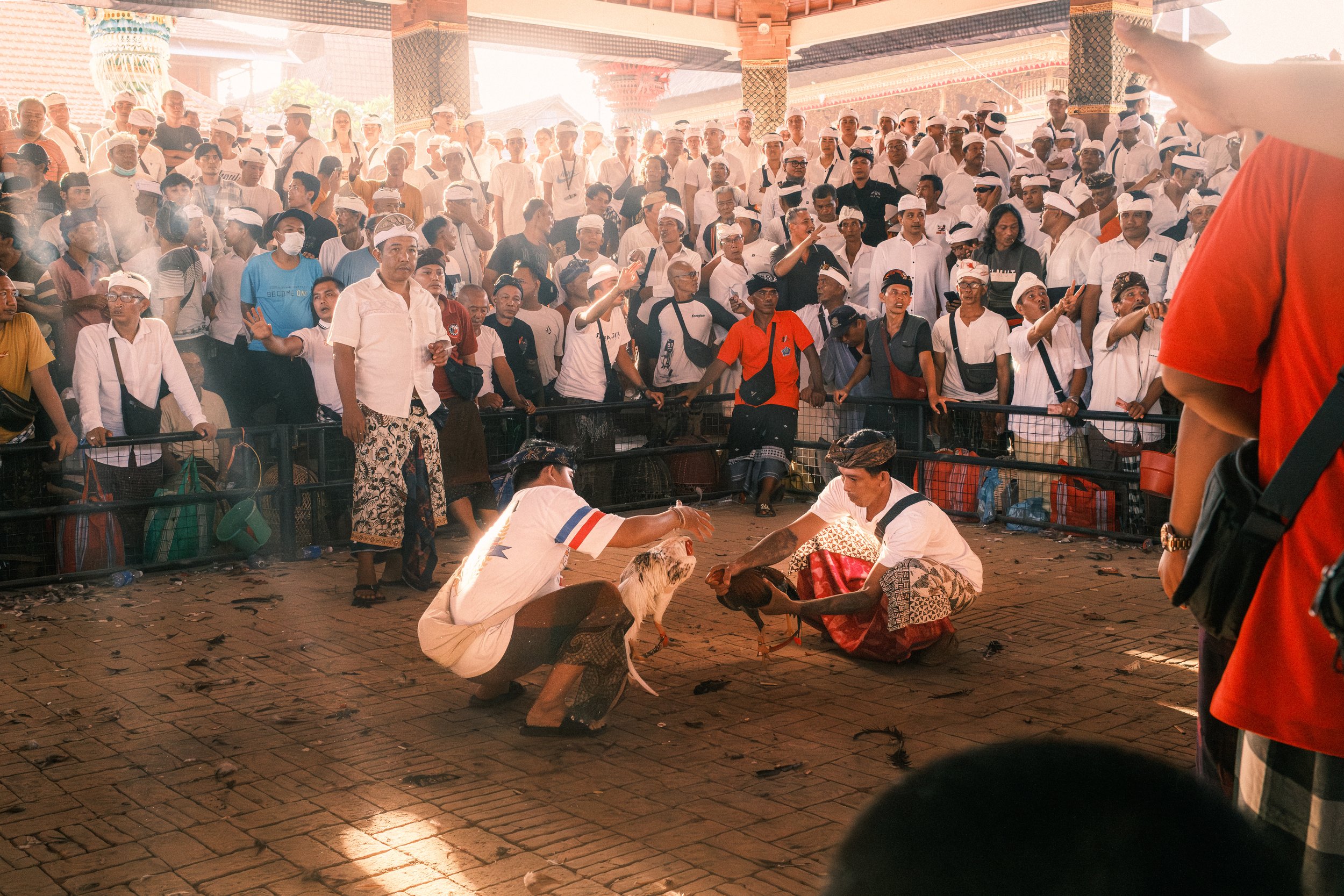 DSCF7594.jpg