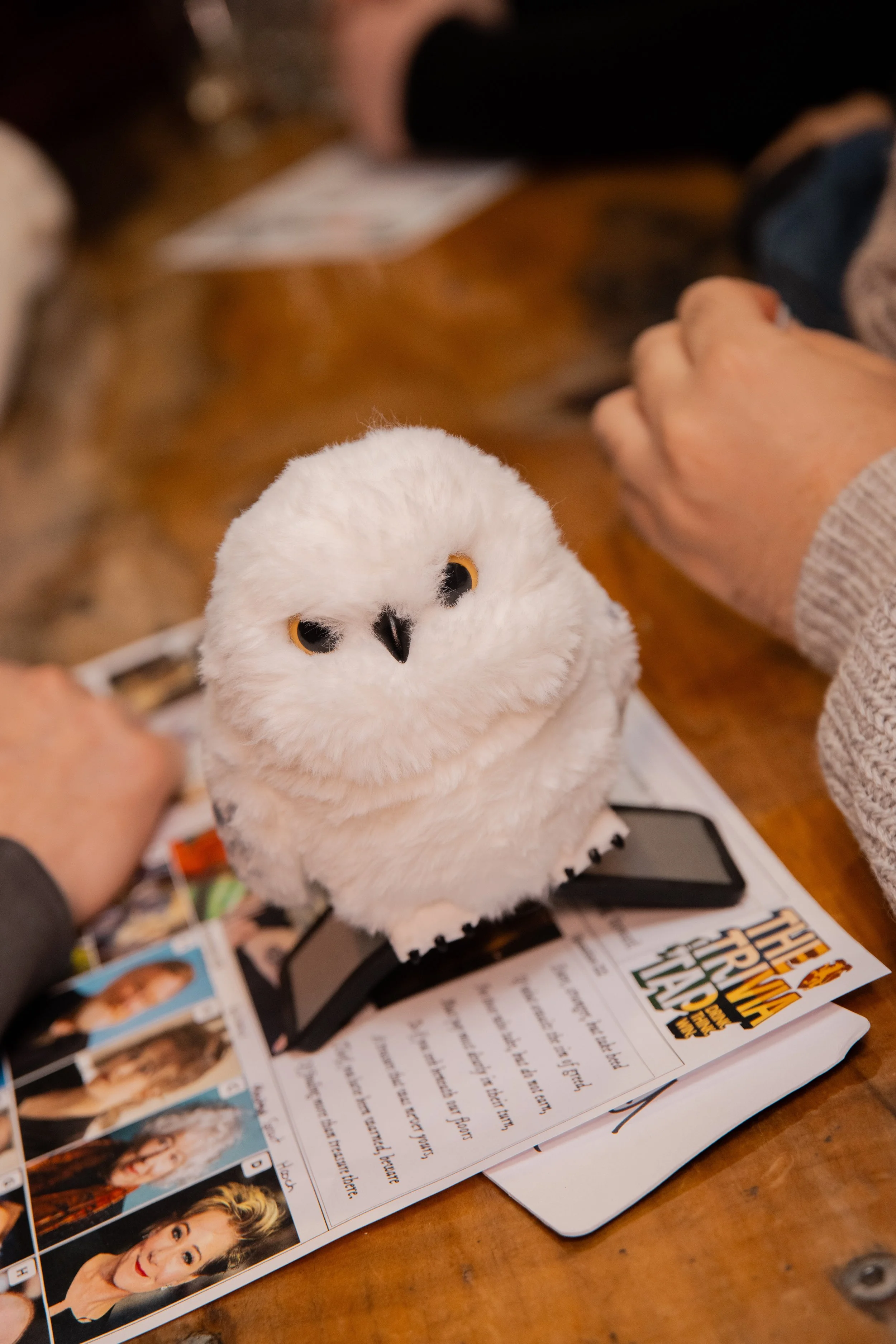 A white plush owl stuffed animal sitting on top of a magazine or brochure with pictures of people, on a wooden table. There are hands and a part of a person's face visible, along with part of another person's hand and clothing.