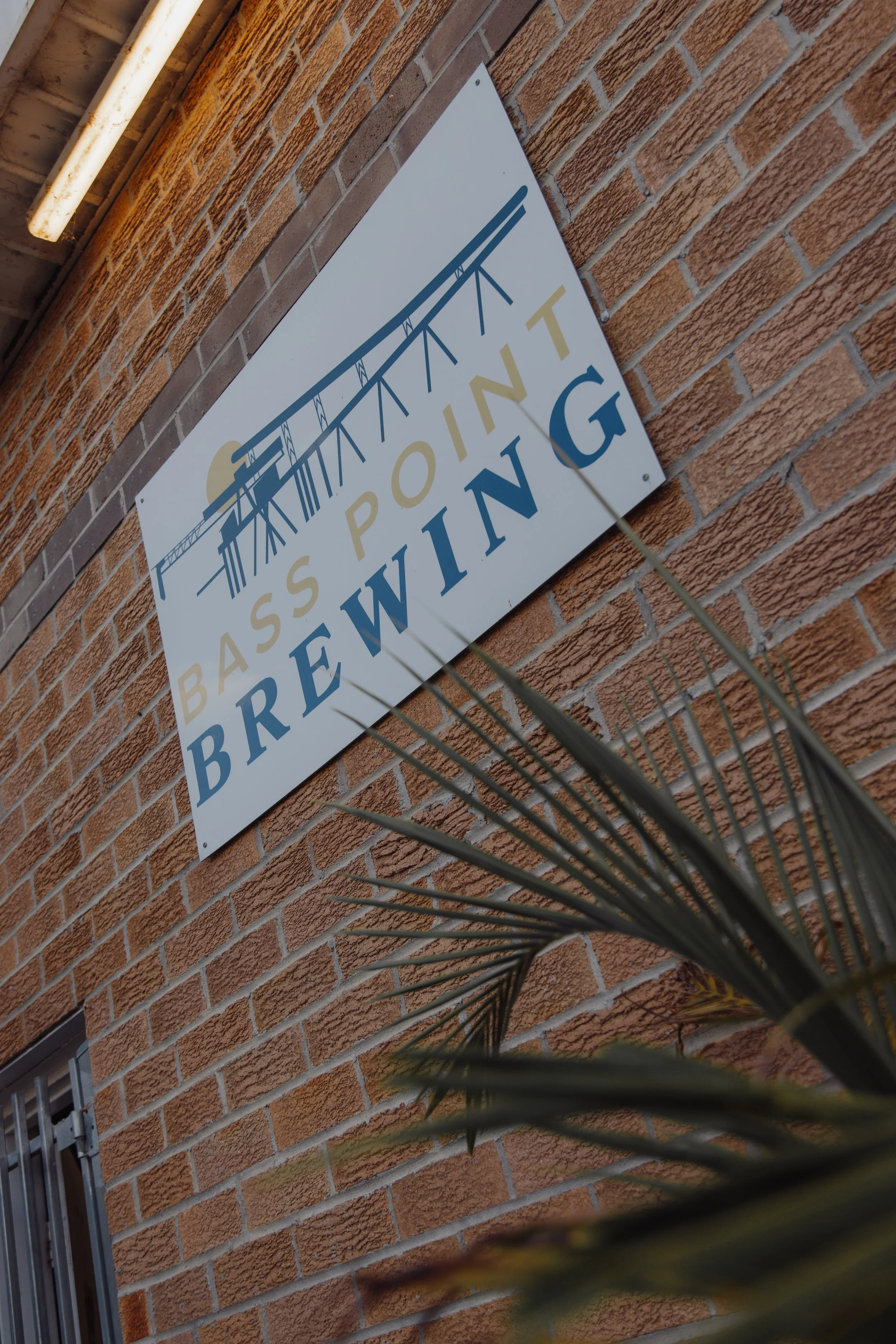 The Trivia Tap - Bass Point Brewing - 20251218 - 02.jpg