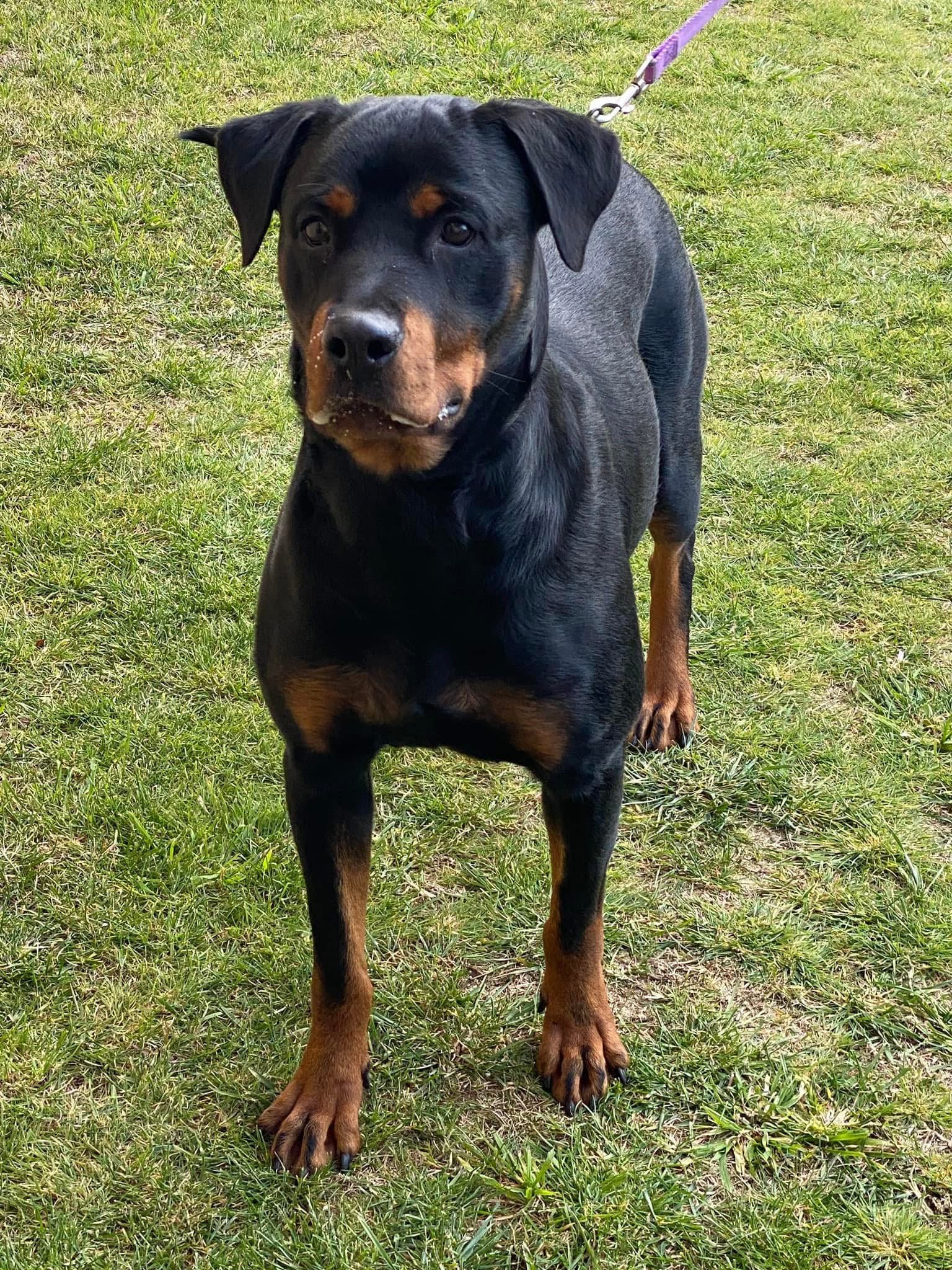 Seeuferhaus STORMY DOTZ (aka STORM)