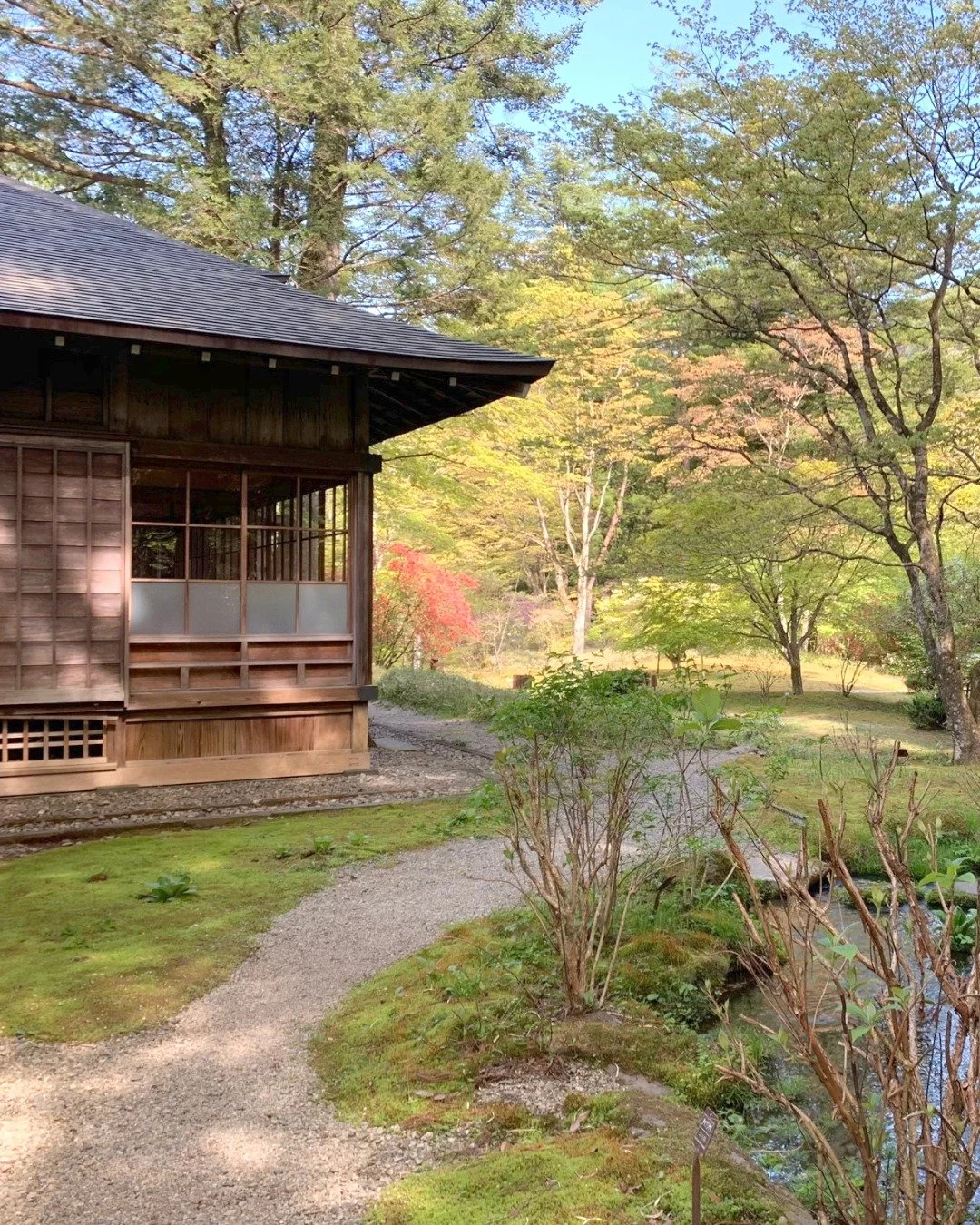 When architecture and landscape speak the same language. At Elo, we design homes that open to the outdoors, where light, air, and greenery become part of the everyday rhythm. Biophilic design has been at the forefront of our thinking lately. We've wr