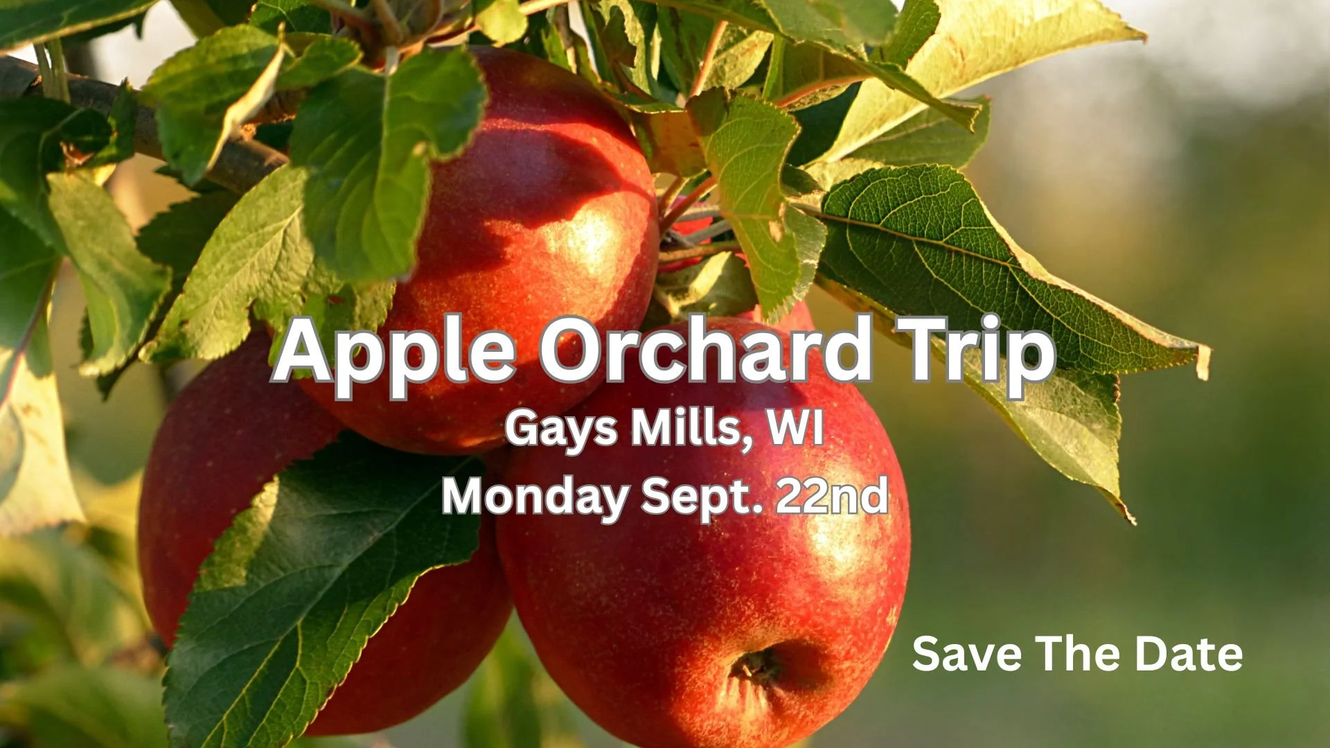Apple Orchard Trip