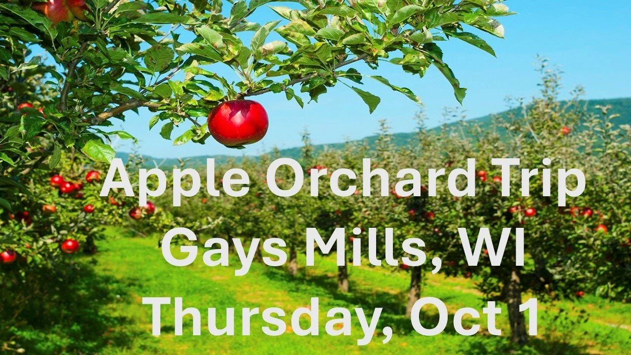 Orchard Trip