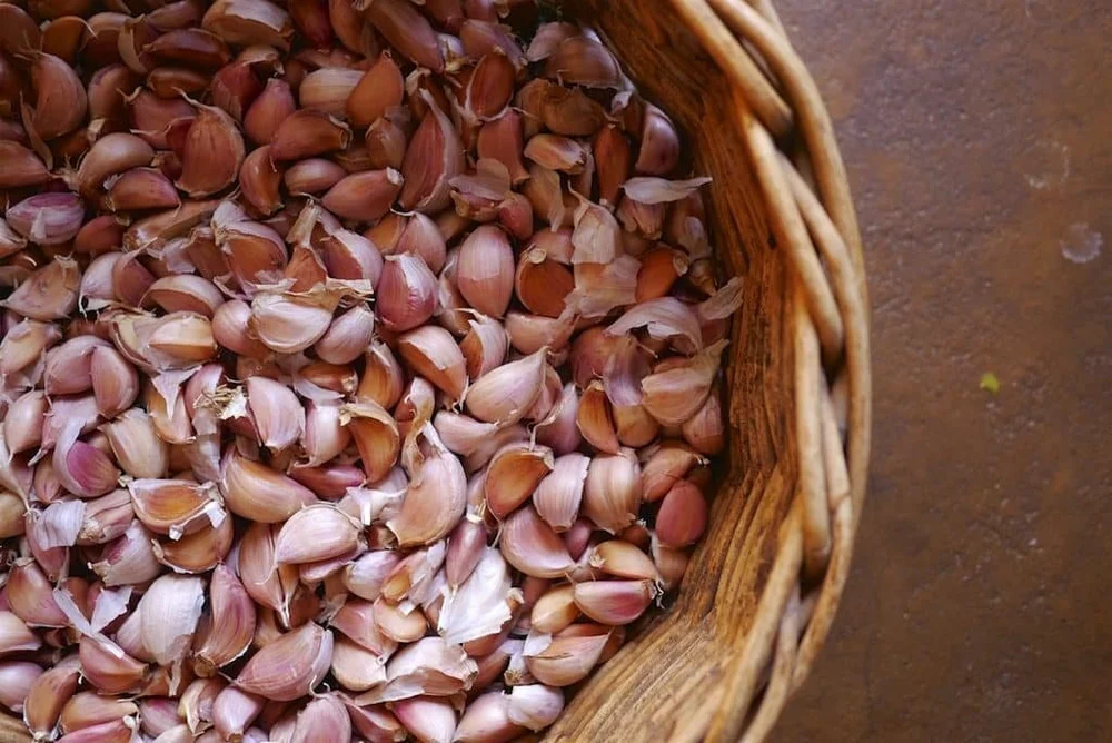 How-to-Grow-Great-Garlic-2651-1024x684.jpg