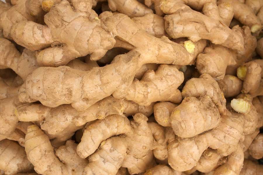 Jesmond-Fruit-Barn-Ginger.jpg