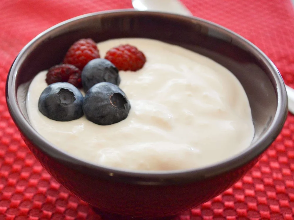 1028395-authentic-homemade-yogurt-MTRmenian-4x3-1-0c66078e9bd64cada5606bf2d85db601.jpg