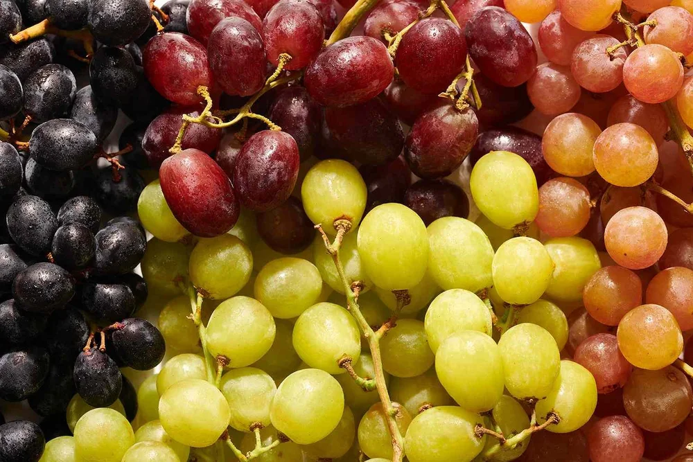 what-are-grapes-5193263-hero-01-80564d77b6534aa8bfc34f378556e513.jpg