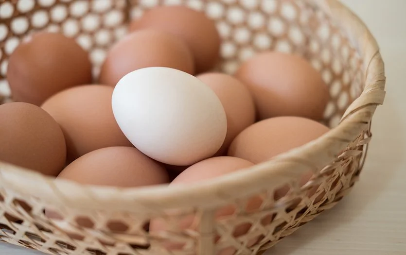 Dashboard_835_Health-benefits-of-eggs_1_24.jpeg