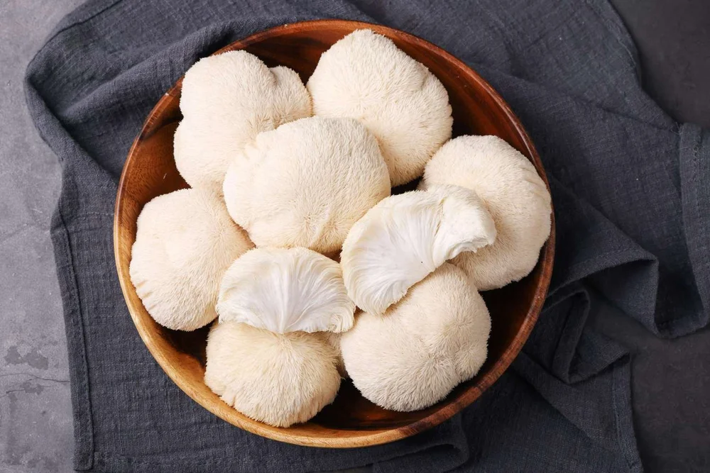 lions-mane-mushrooms-getty-0222-2000-11be75b31c4d4c18841311189b99f15a.jpg