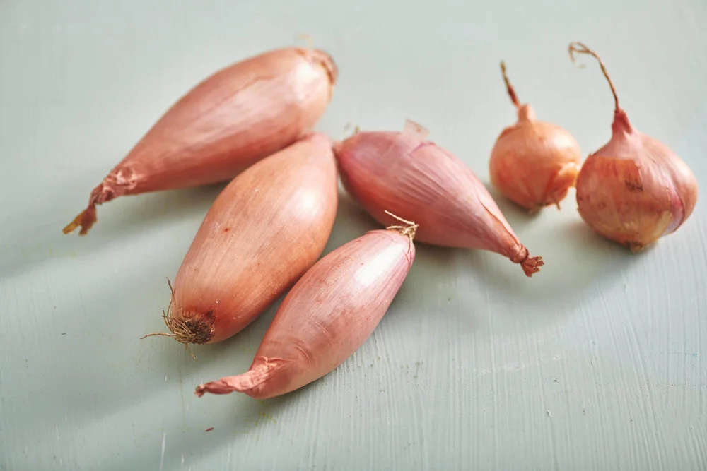 how-to-cook-with-shallots-245.jpg