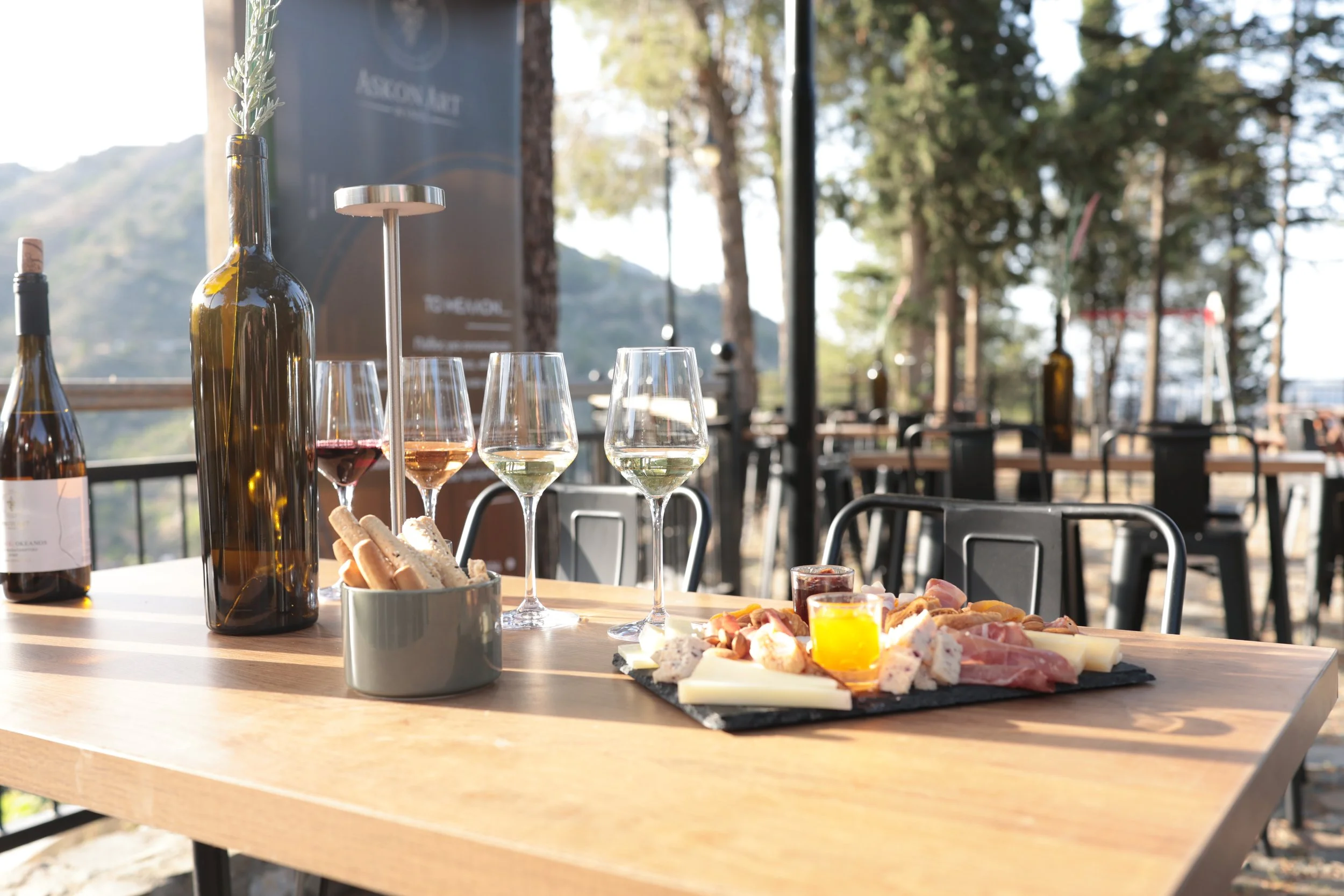 Outdoor table set with glasses of white and red wine, a platter of cheese, meats, and dips, a bottle of wine, a bowl of breadsticks, and a decorative bottle with greenery. Trees and outdoor seating are visible in the background.