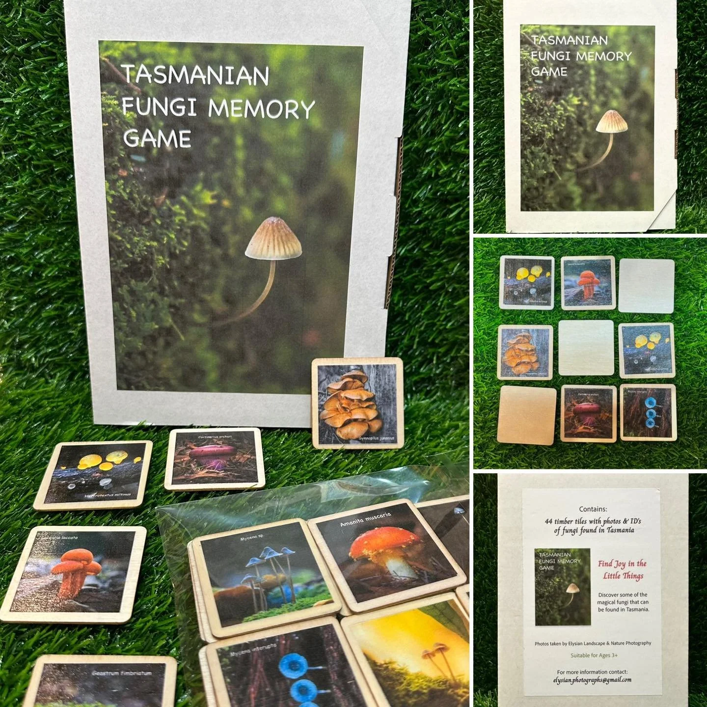 Tasmanian Fungi Memory Game 🍄