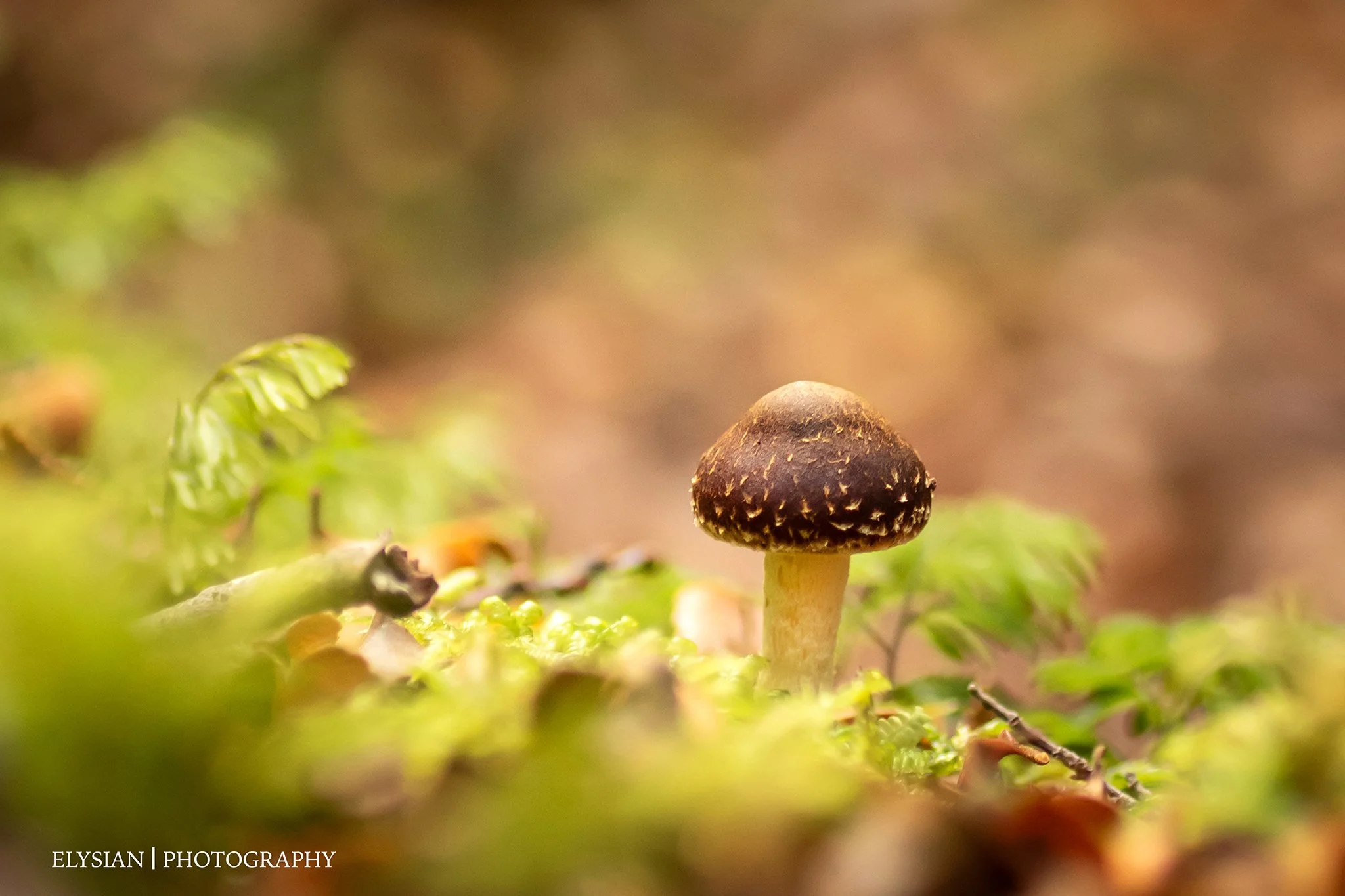 #015 Standing in the Sun - ELYP3992 fb.jpg