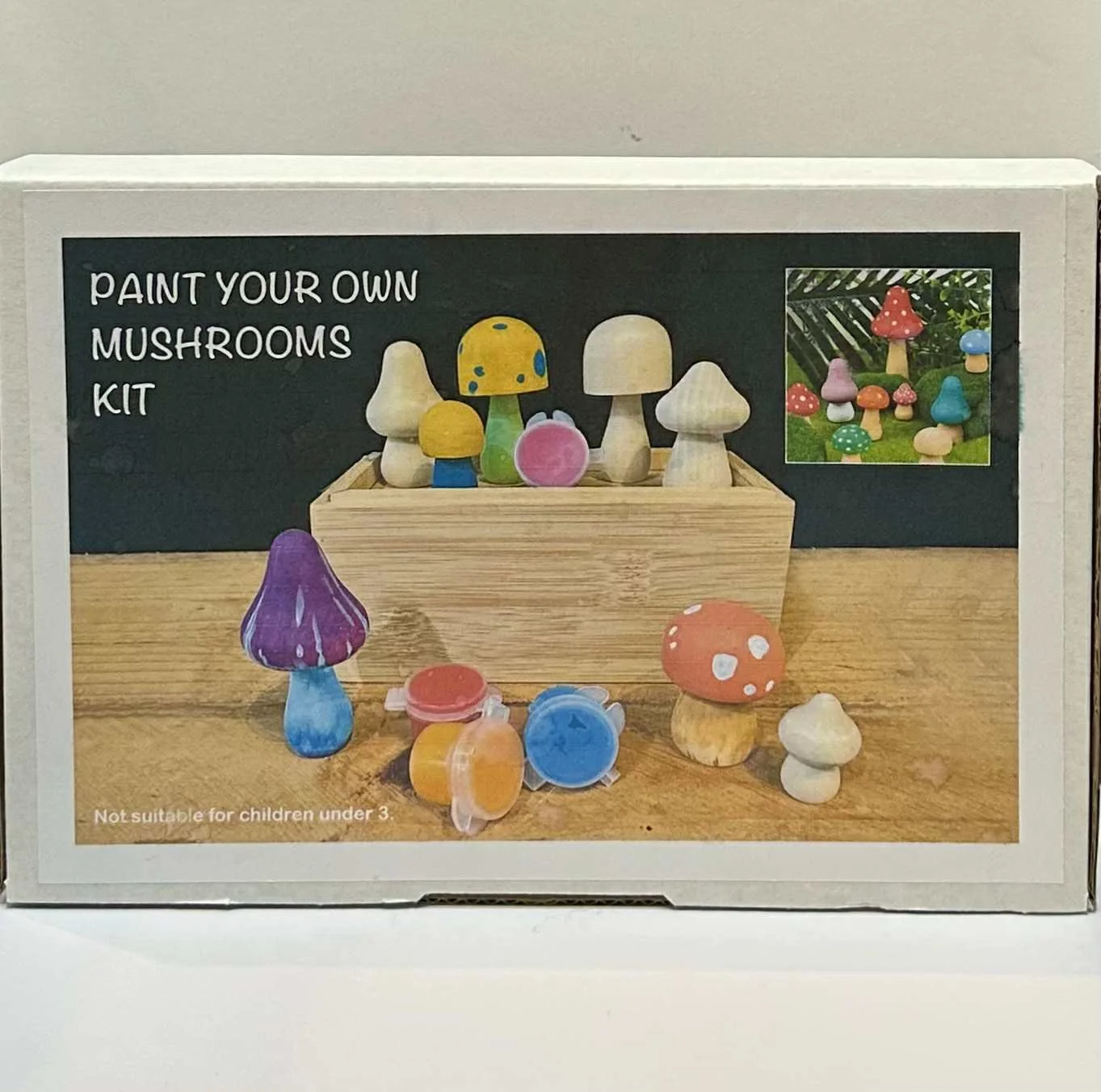 Paint Your Own Fungi Kit