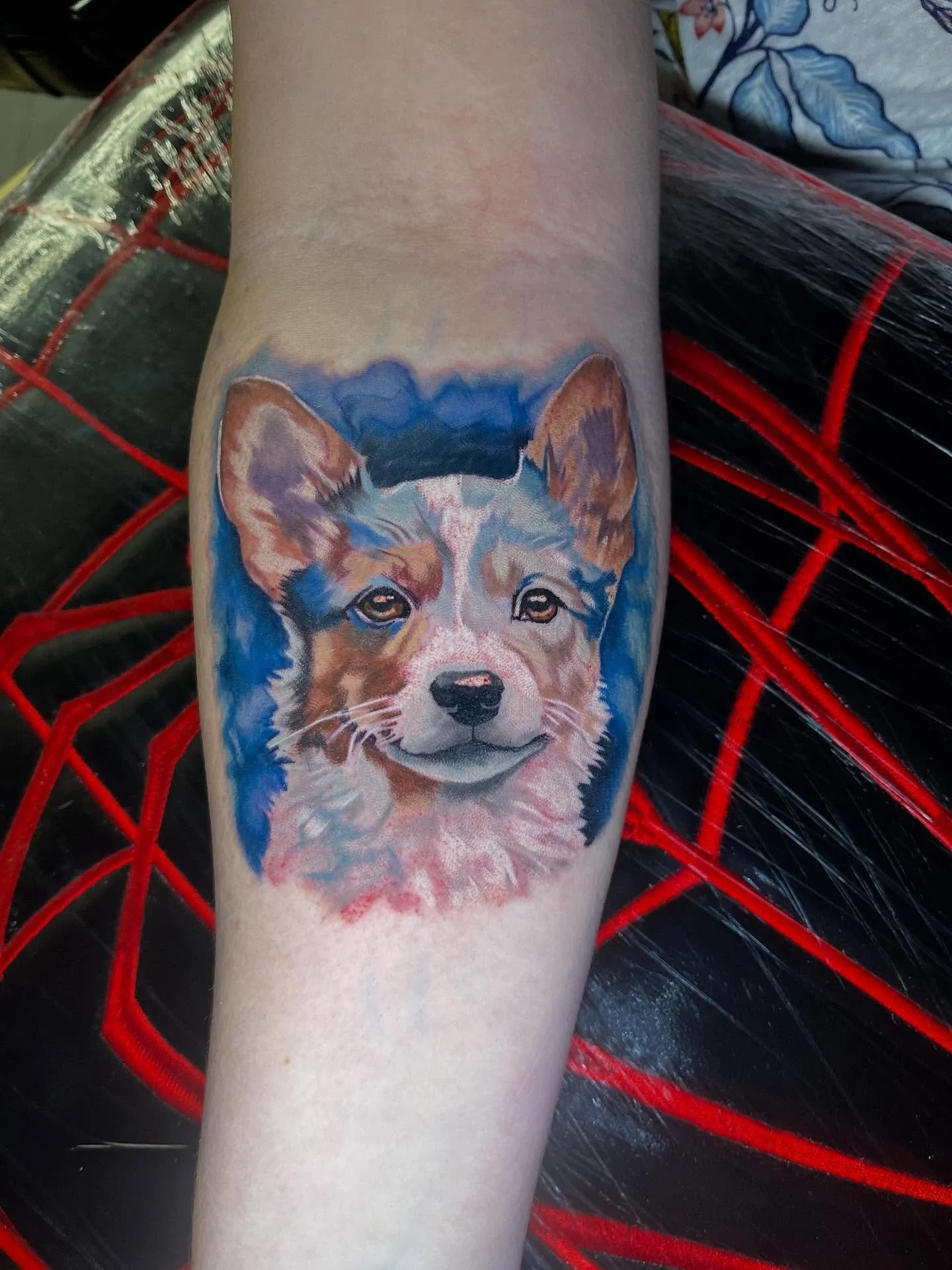 Cute little puppy portrait done by @mikehamill17 #blastedtattoocare #yournewfavoriteink #texasinkedmag #inkedmag #rockwalltattoo #rockwall #rockwalltx #dallastattooartist #colortattoo #girlswithtattoos #fyp #puppy #dogsofinstagram
