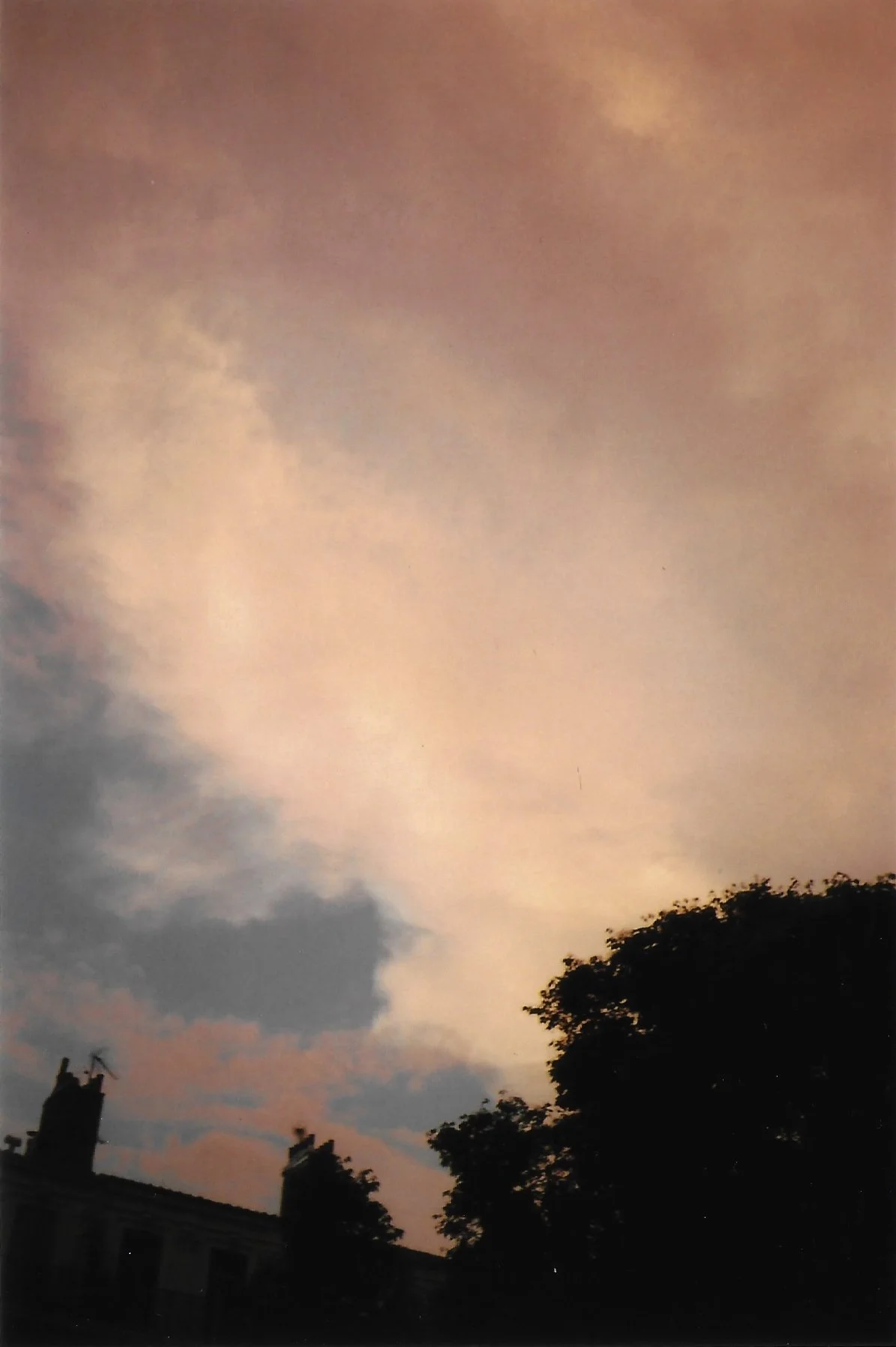 shootdelphineanalog 15.jpg