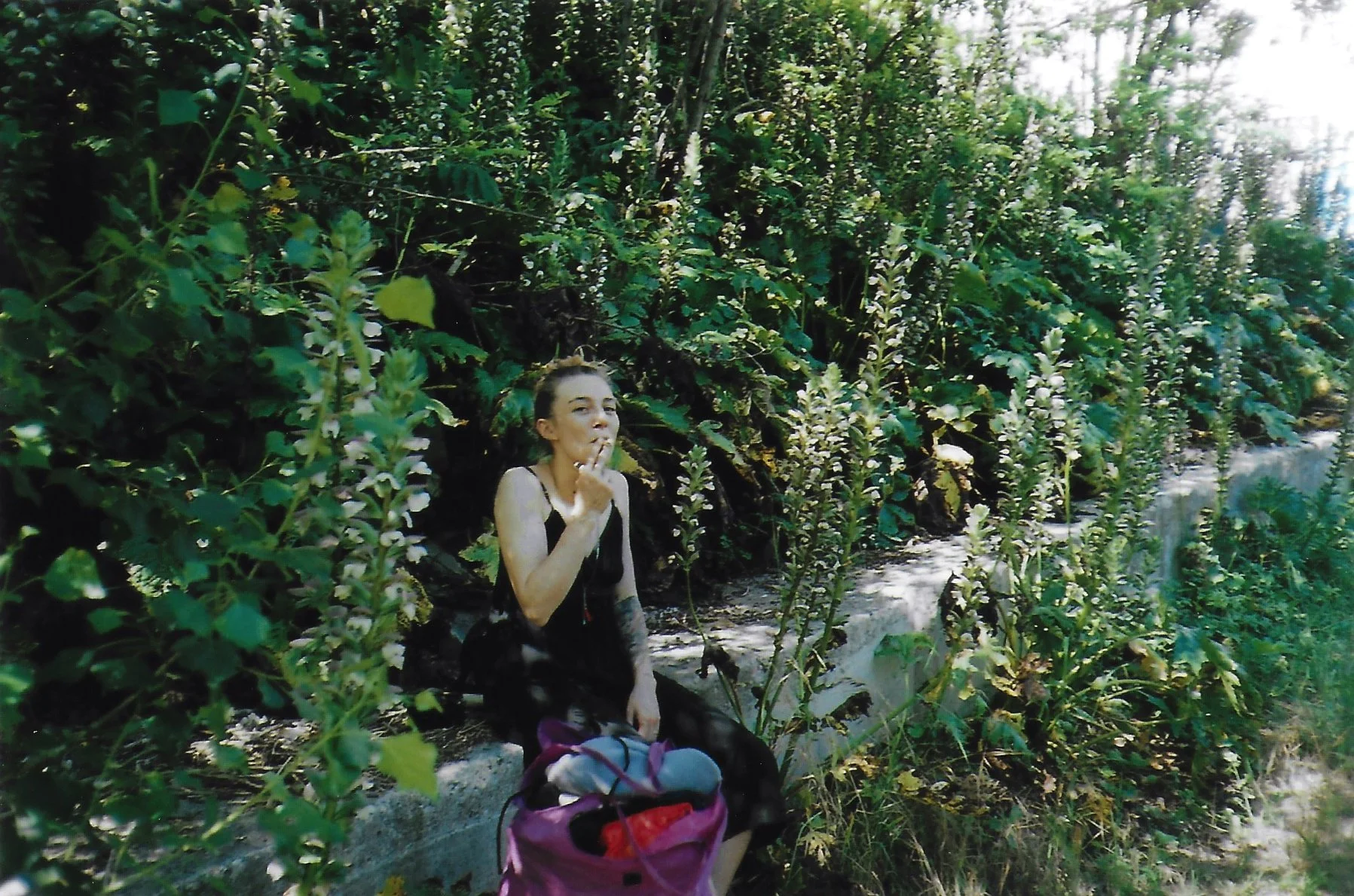 shootdelphineanalog 13.jpg