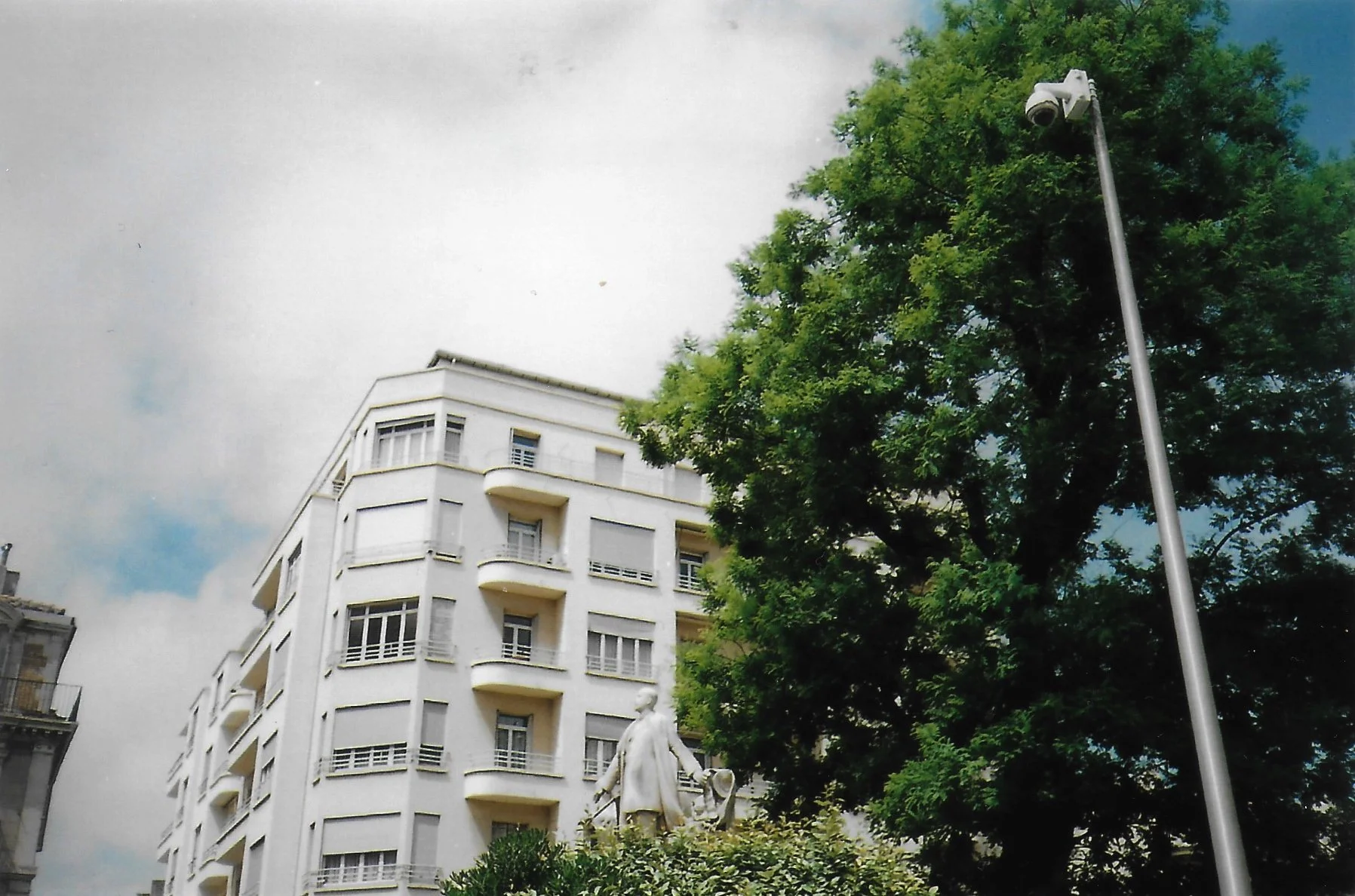 shootdelphineanalog 2.jpg