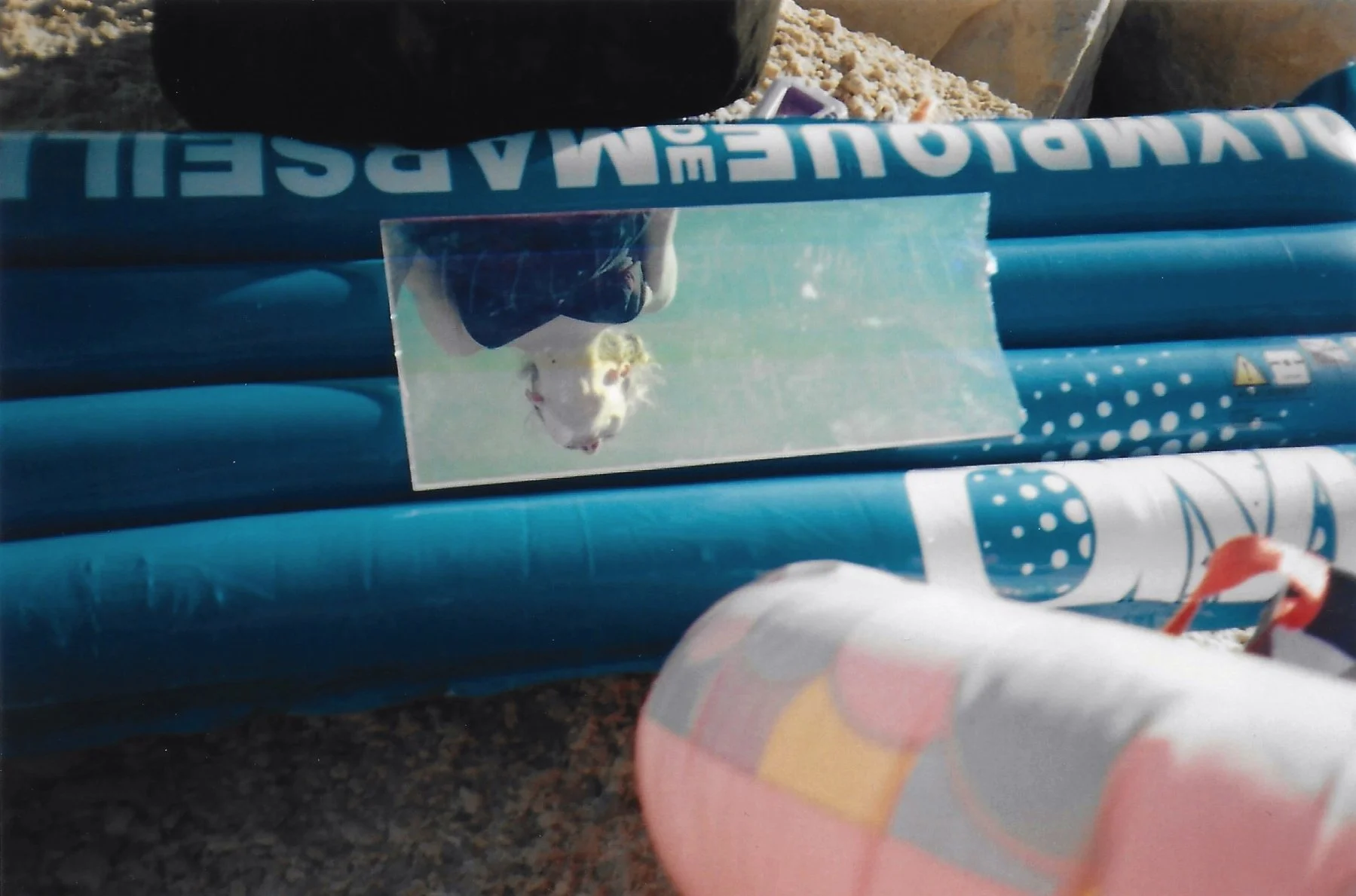 shootdelphineanalog 10.jpg