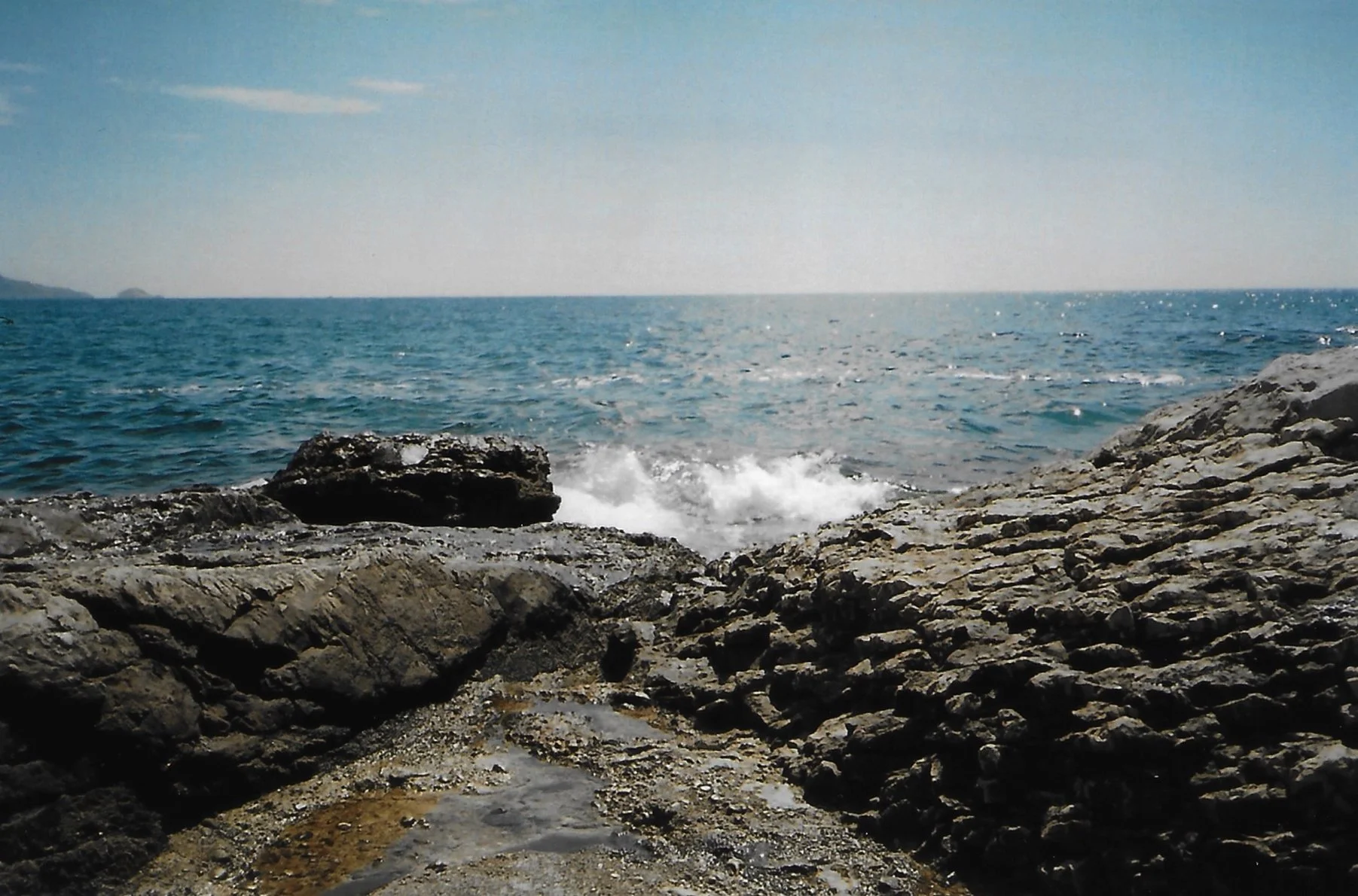 shootdelphineanalog 18.jpg