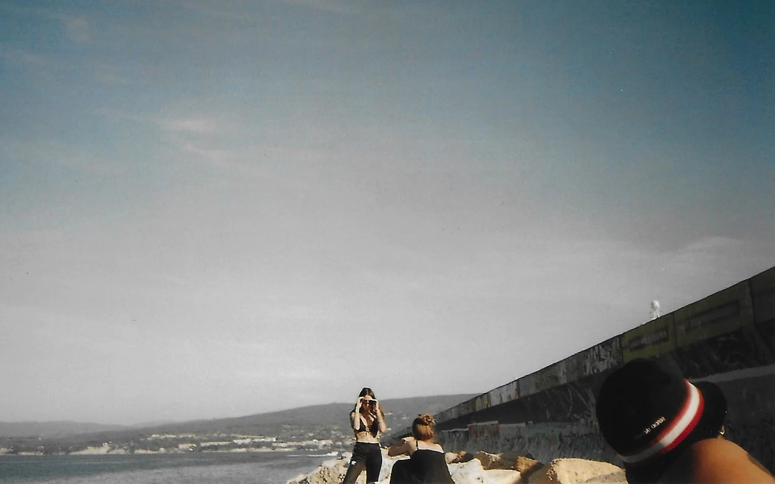 shootdelphineanalog 11.jpg