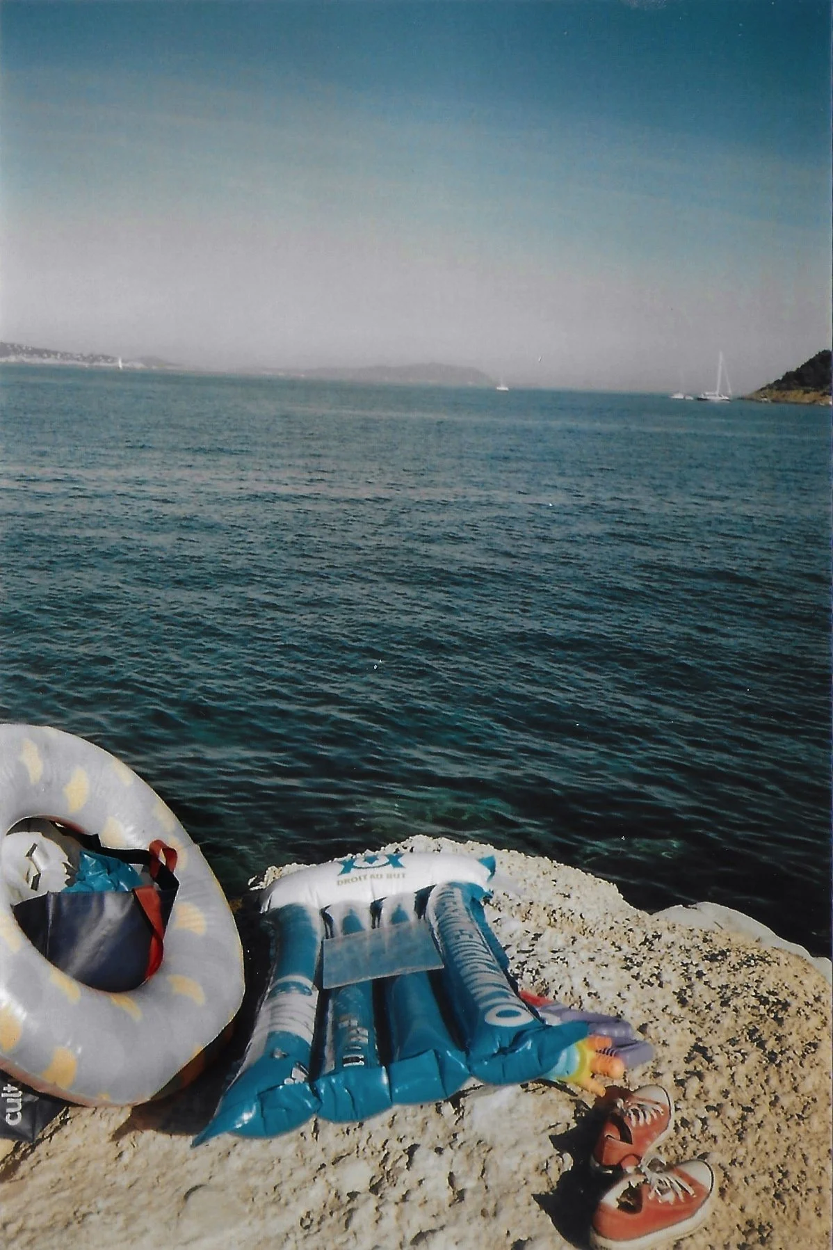 shootdelphineanalog 12.jpg