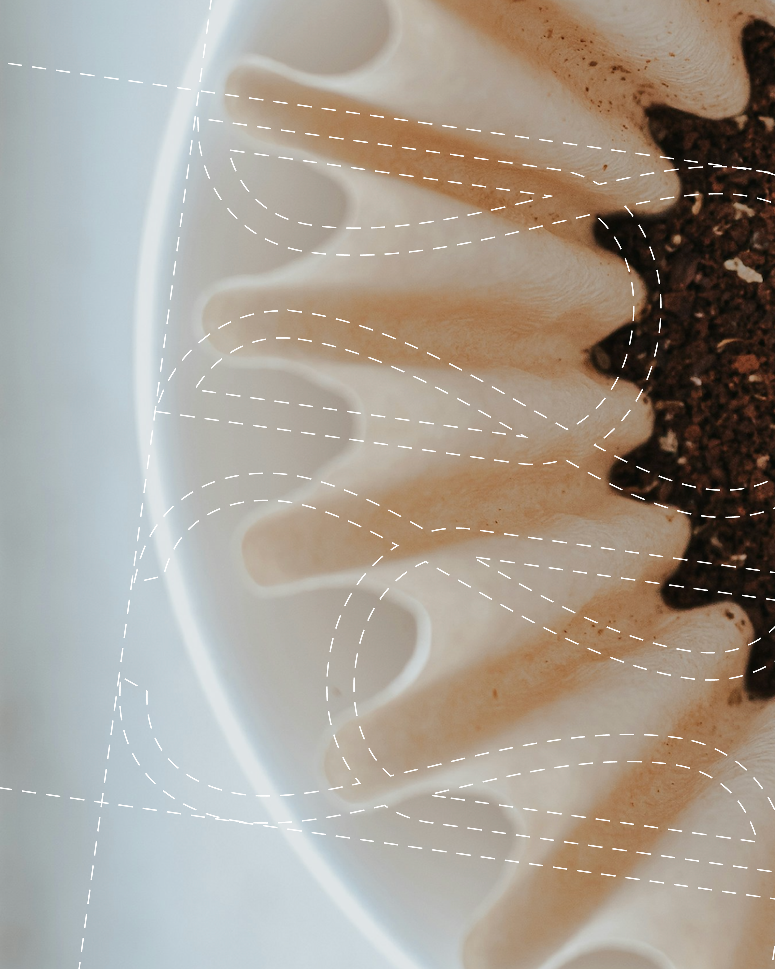 Close-up of a white ceramic coffee cup filled with coffee grounds, sitting on a surface with dark soil nearby.