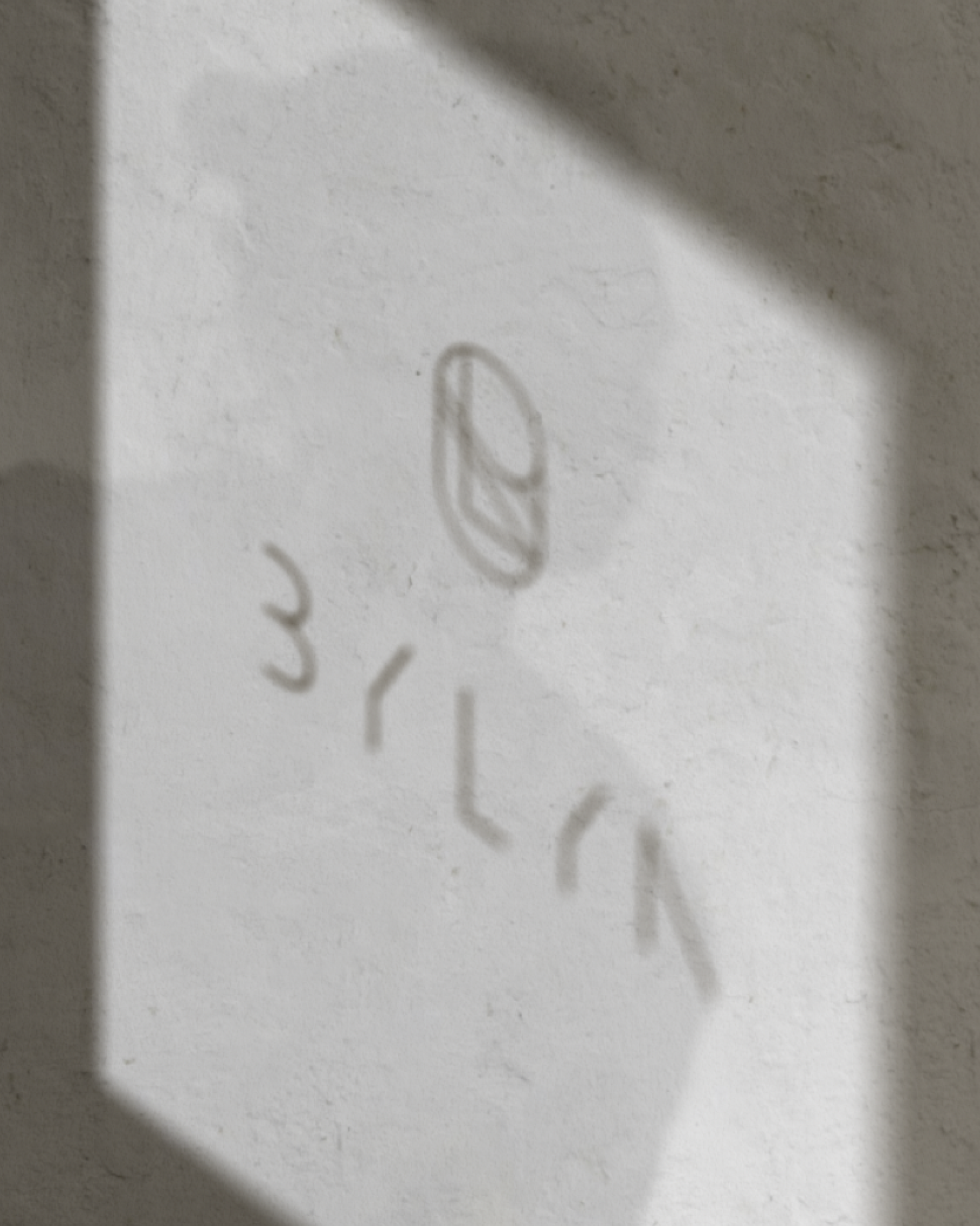 Visual_Identity_Pilates_Studio.png