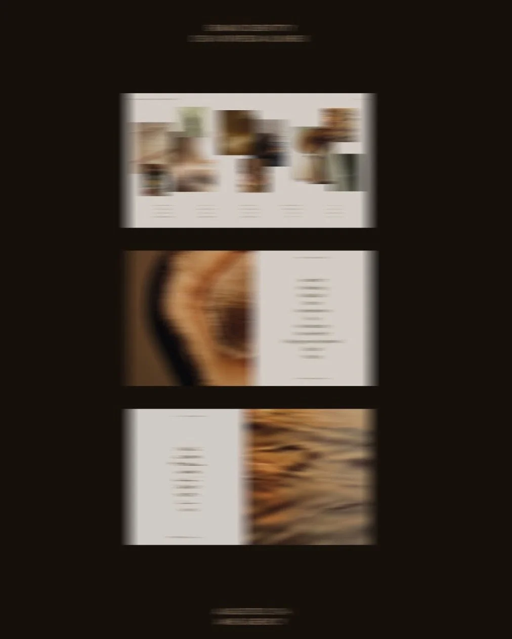 The image shows a blurred screenshot of a website or app layout with images and text sections, divided into three main parts, with a dark background.