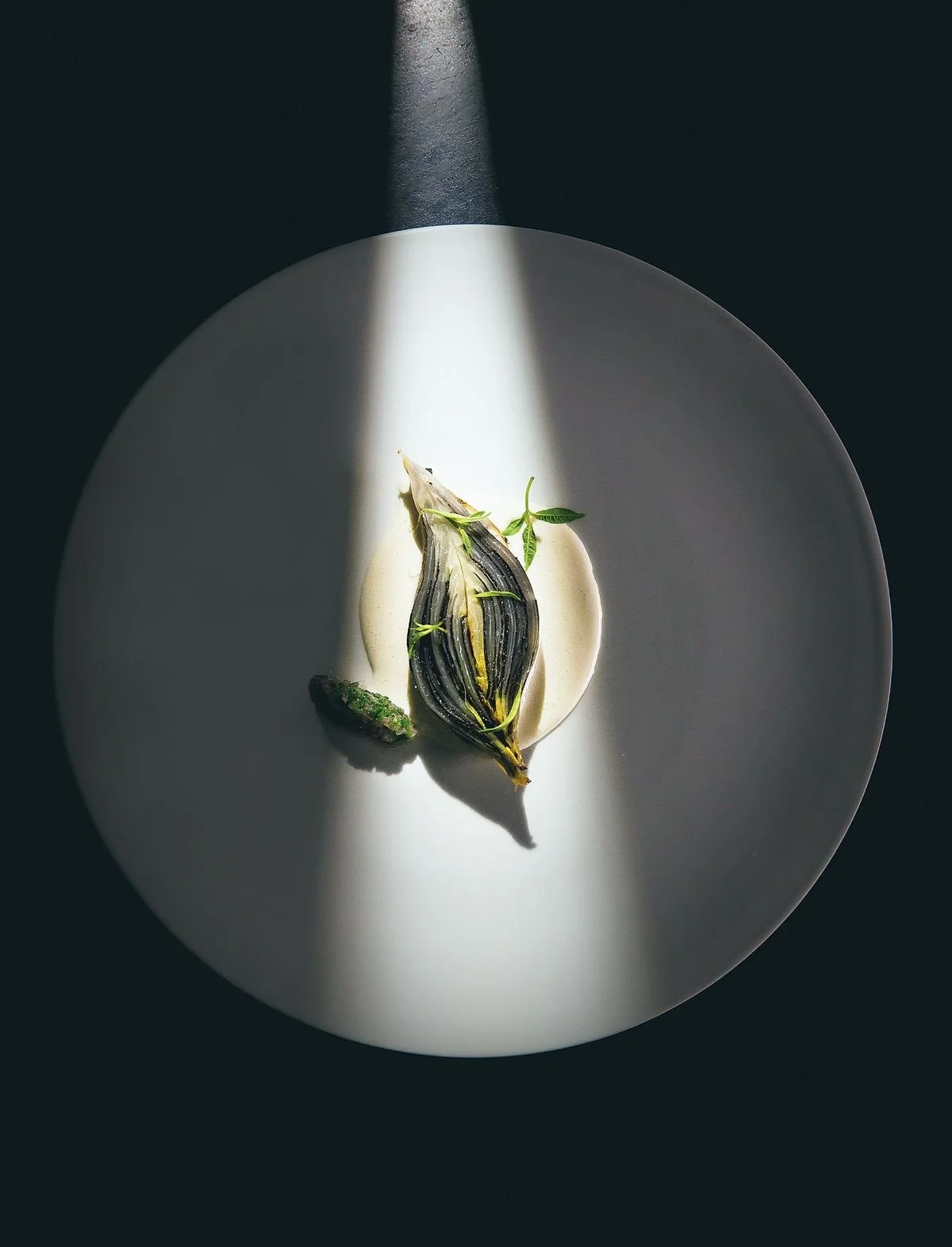 lumière art culinaire