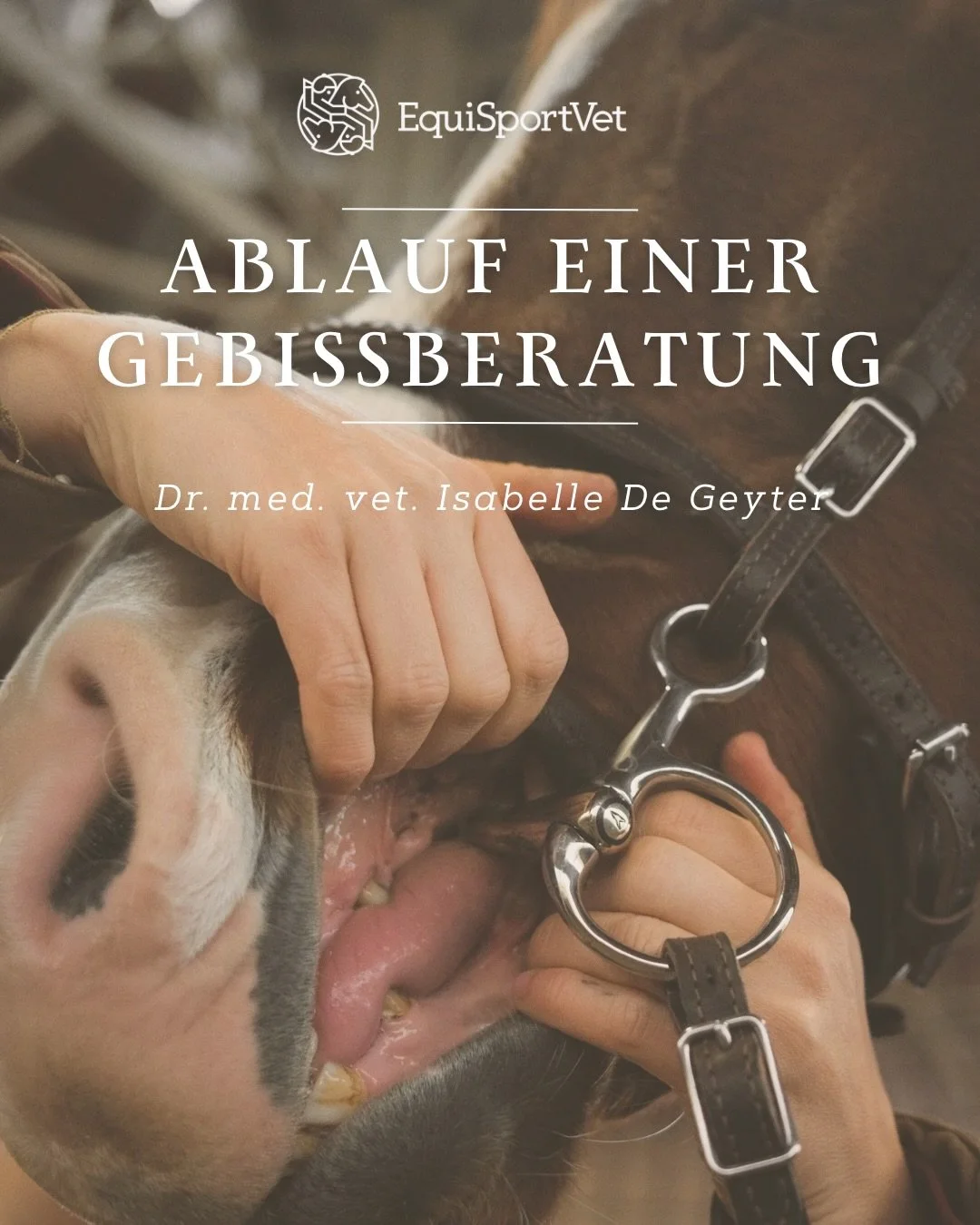 Da ich immer wieder gefragt werde, was man sich unter einer Gebissberatung bei mir vorstellen kann, hier eine &uuml;bersichtliche Darstellung meiner Arbeit in der Gebisskunde.

Es ist ein neues und noch wenig anerkanntes Fachgebiet (ich vergleiche an