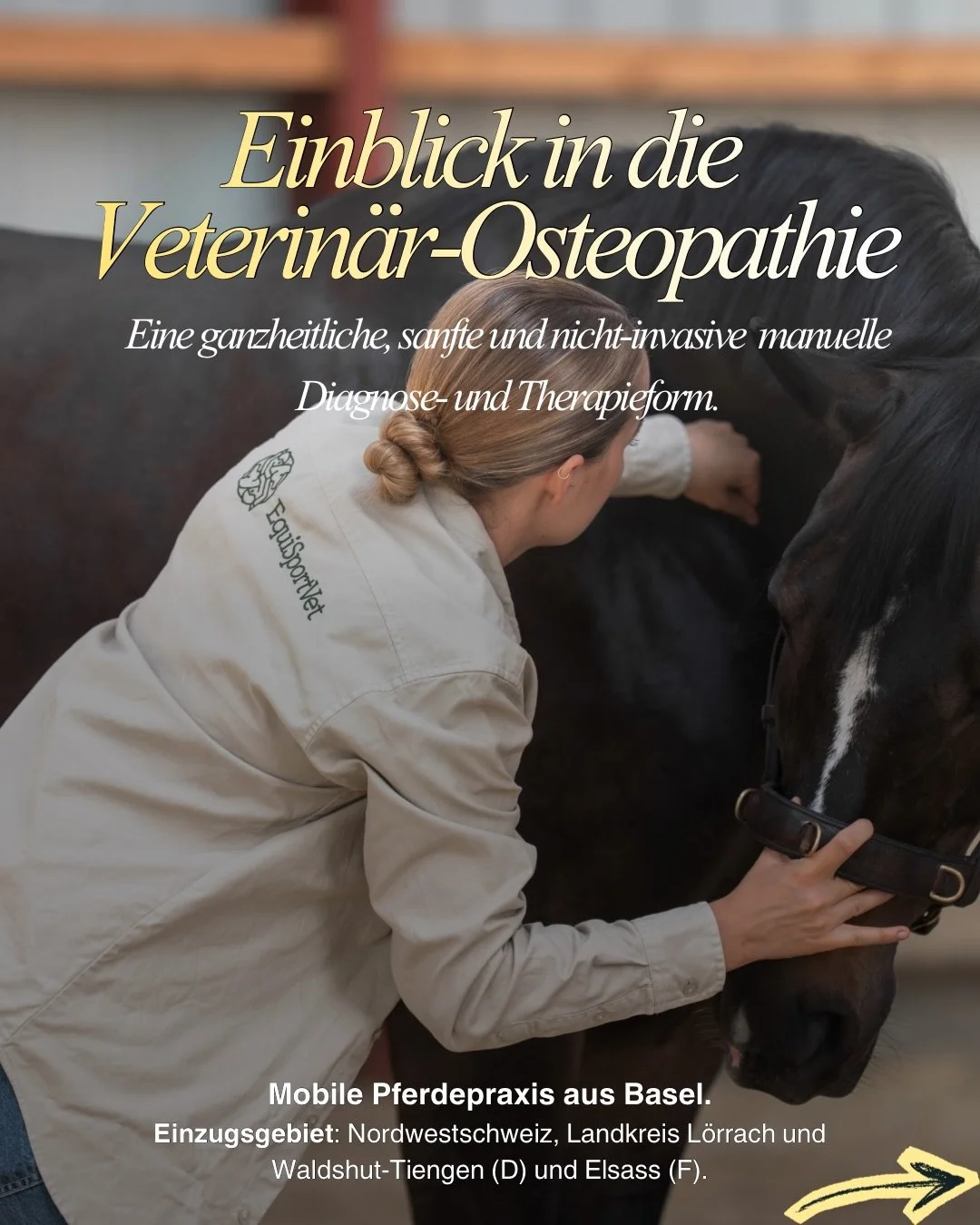 &hellip; Und wenn ihr mehr erfahren wollt &uuml;ber meine Arbeit, schreibt mir gerne eine Nachricht oder schaut auf meiner Website www.equisport.vet vorbei. 🤍🐴

#veterin&auml;rin
#pferdeosteopathie 
#pferdetherapie 
#pferdetier&auml;rztin