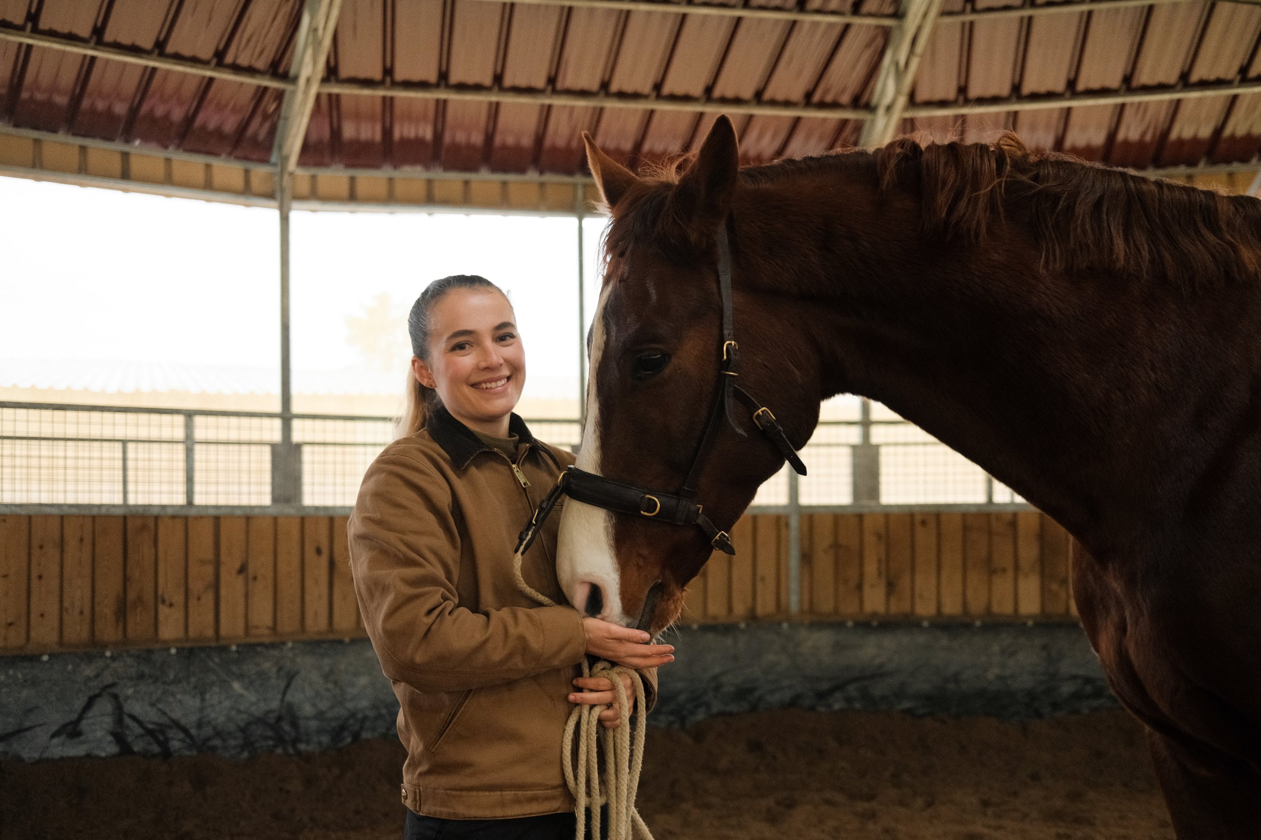 Osteotraining Gesund Pferd Basel